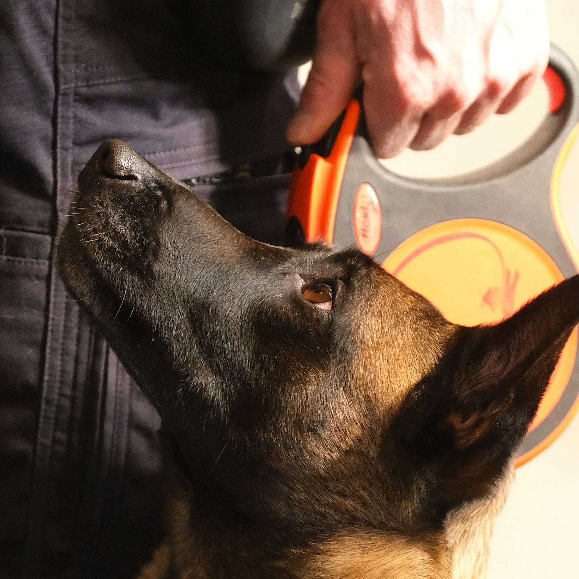 Bald ohne Handy: Diese Supernasen sollen Berlins Häftlinge das Fürchten lehren