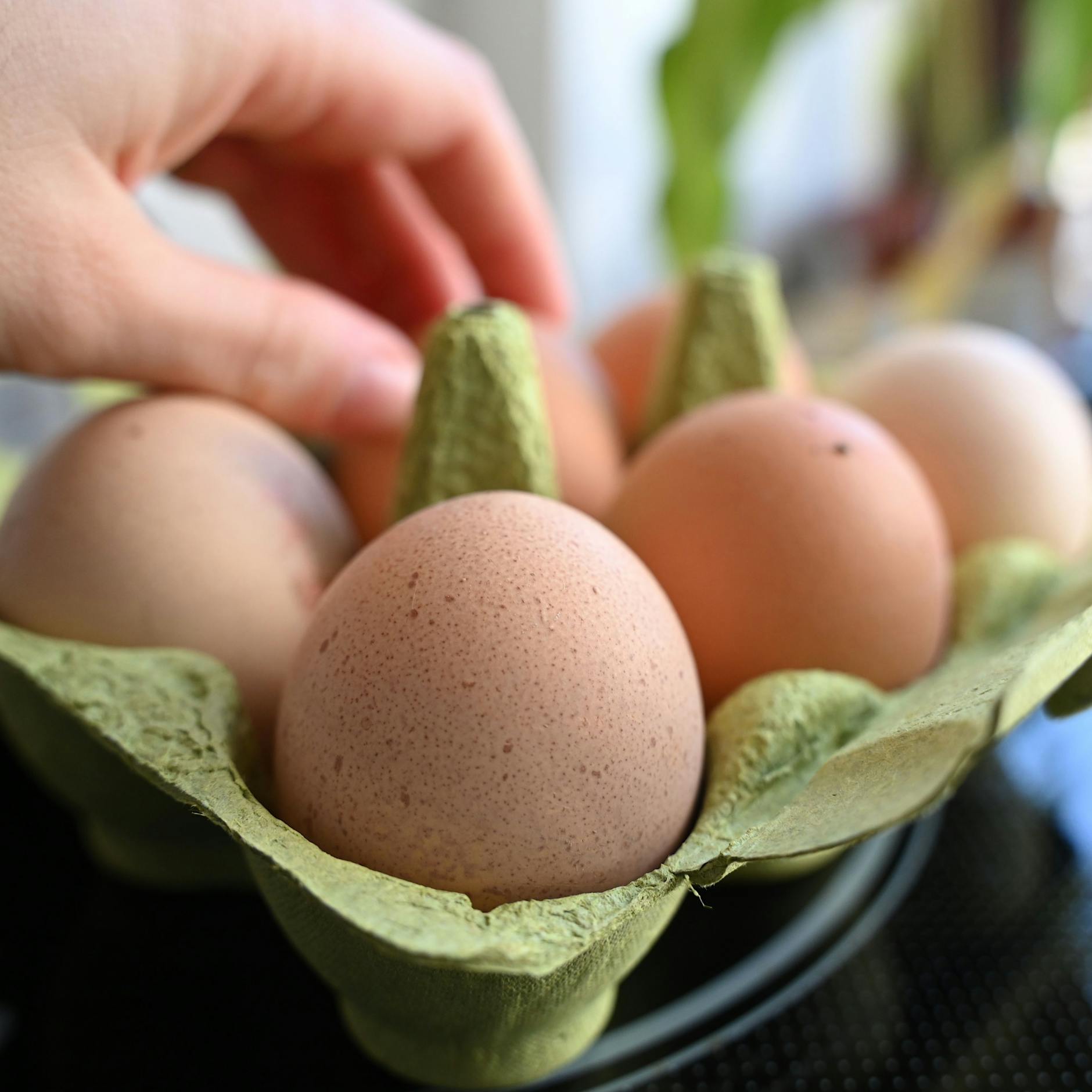 Eier knapp, bleiben die Osternester leer?