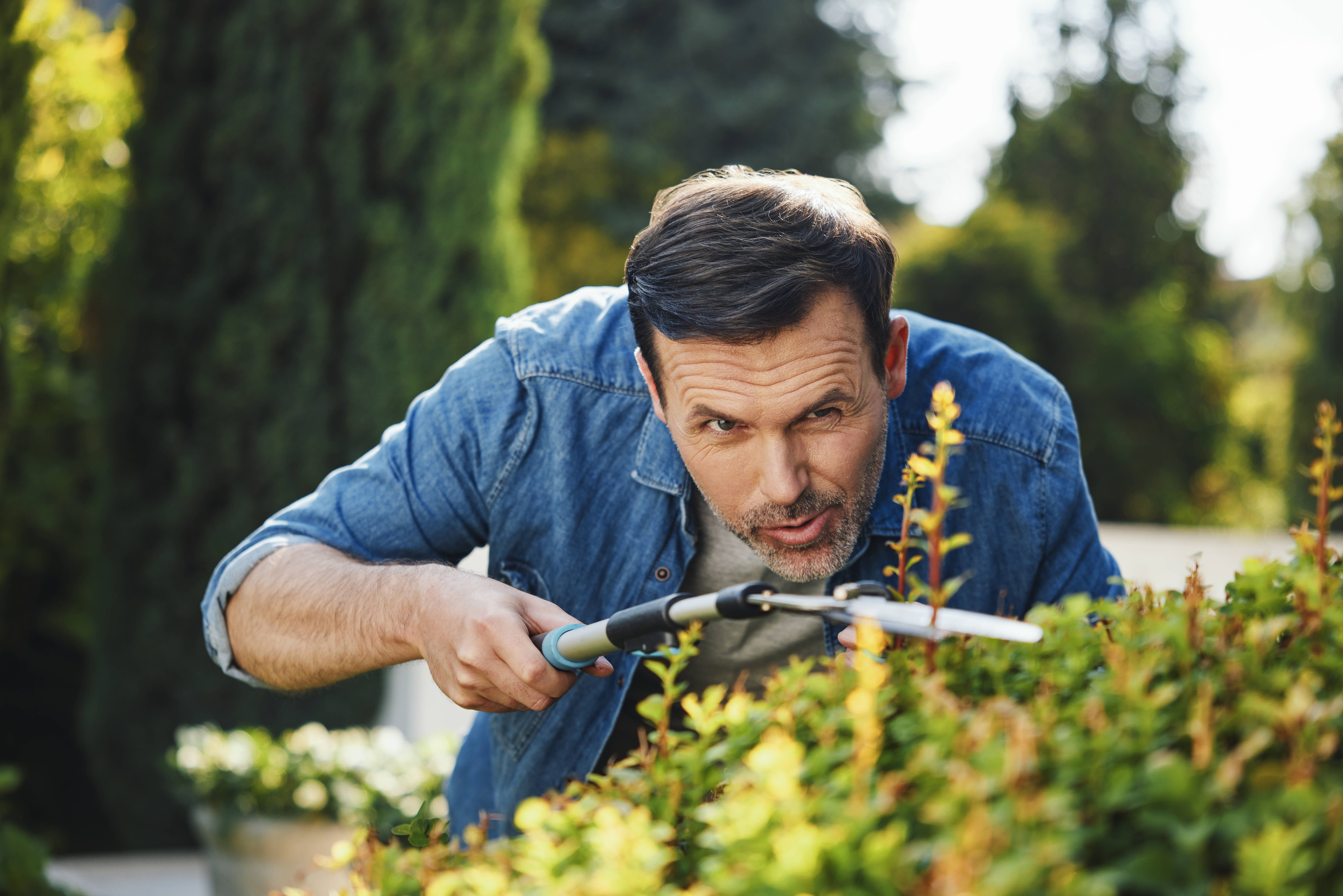 Frühlingseinbruch in Berlin – Vorsicht beim Griff zur Heckenschere