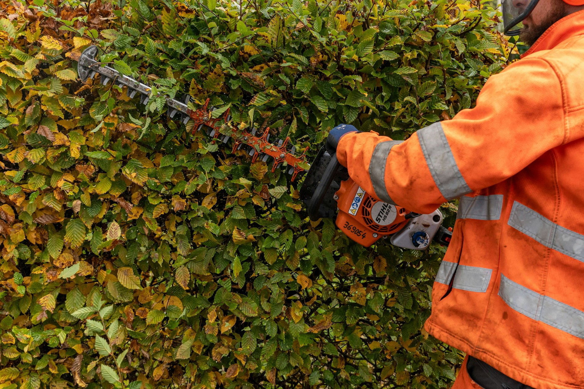 (Symbolbild) Der Griff zur Heckenschere muss überlegt sein. Sonst drohen in Berlin 50.000 Euro Strafe.