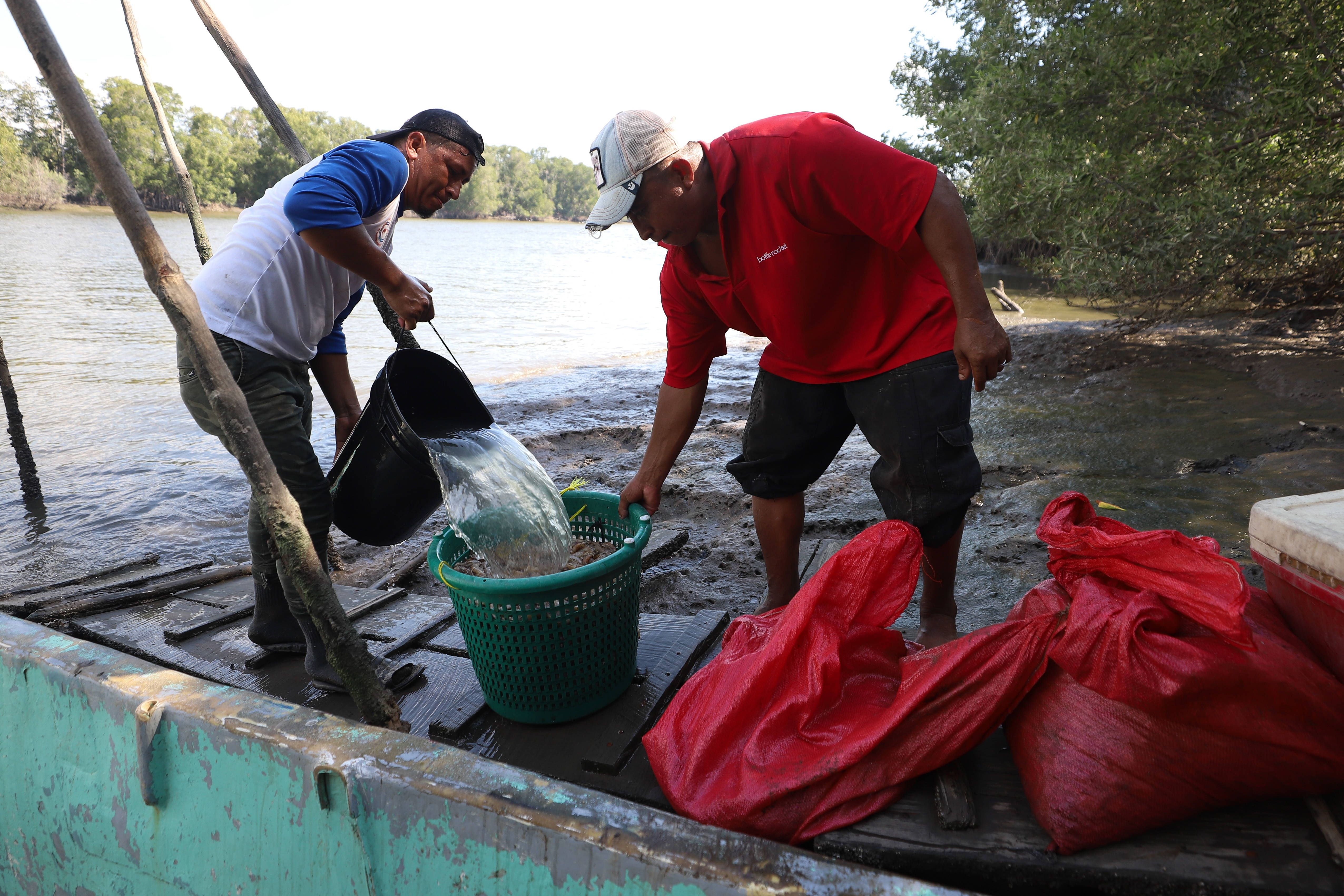Enttäuschte Garnelenexporteure: Darum überprüft Honduras die Beziehung zu China