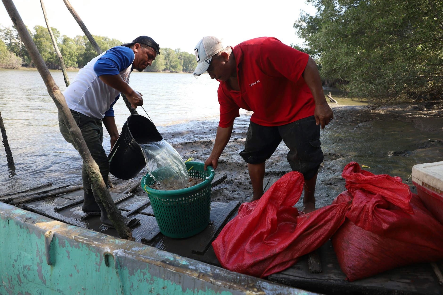 Garnelenfarm in Honduras: Der Exportsektor klagt über Verluste.