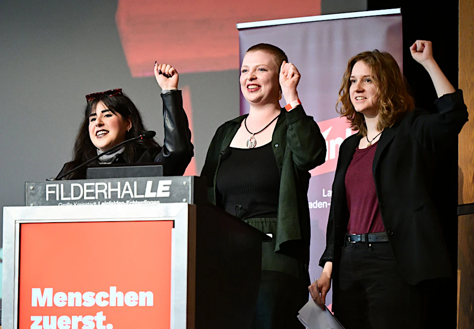 Besonders die Linke kann ihre Mitgliedszahlen deutlich ausbauen.