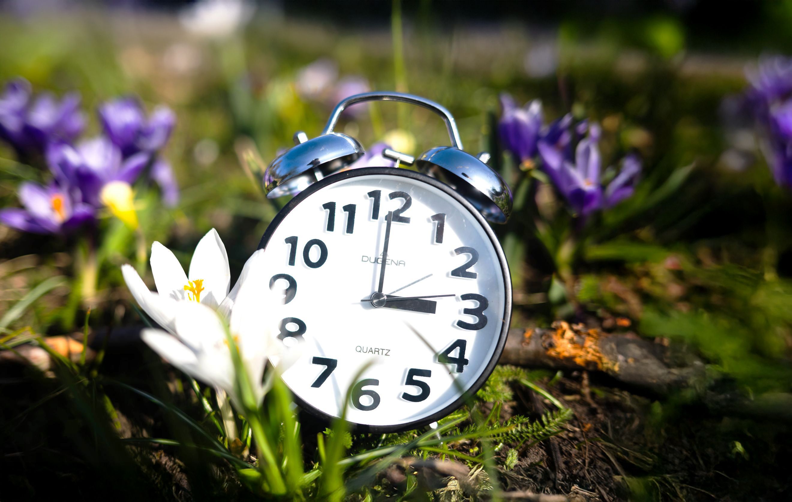 Image - Zeitumstellung schon am Wochenende! Das steckt dahinter
