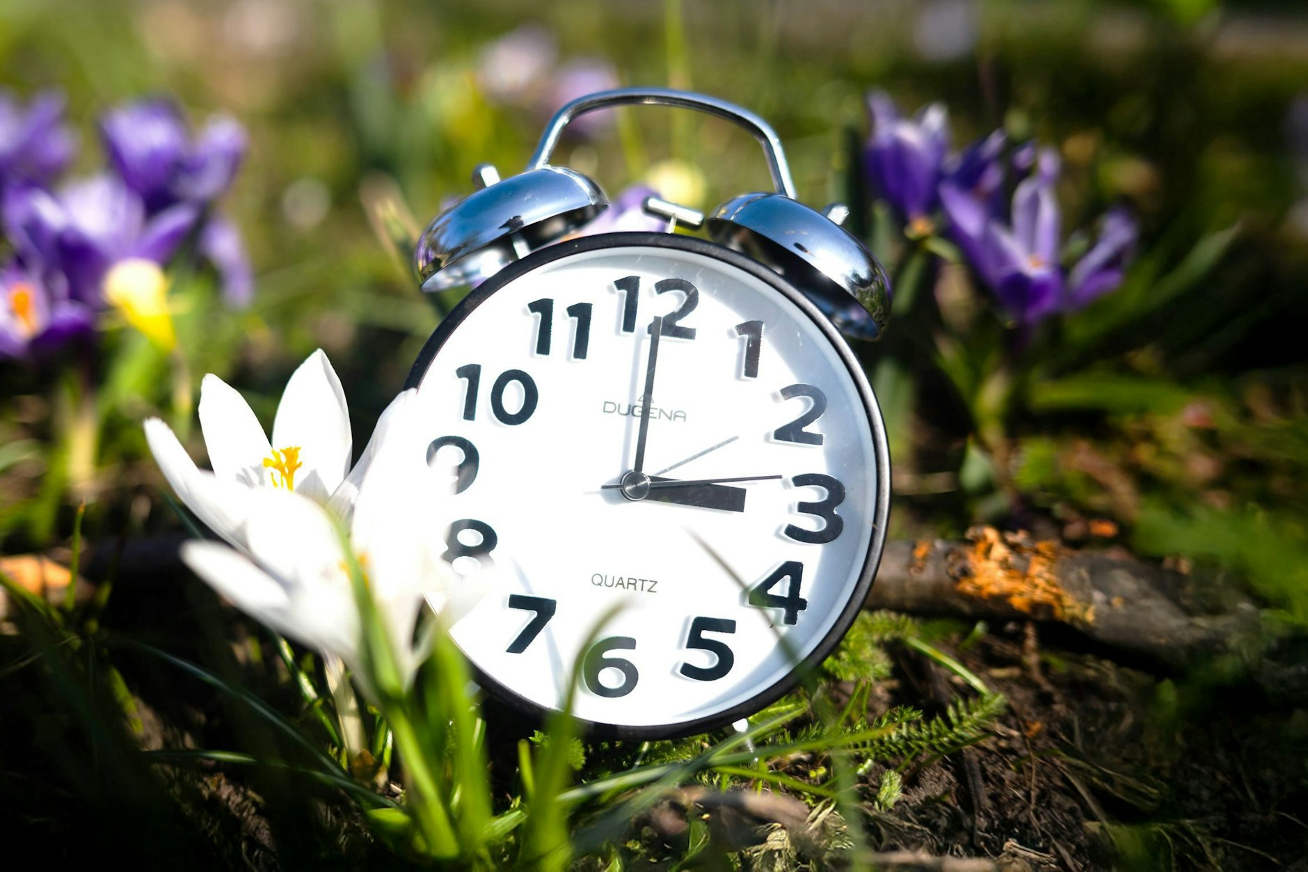 Die Uhren werden eigentlich erst Ende März auf Sommerzeit umgestellt. Zumindest in Europa. Denn in anderen Regionen passiert die Zeitumstellung schon wesentlich früher.