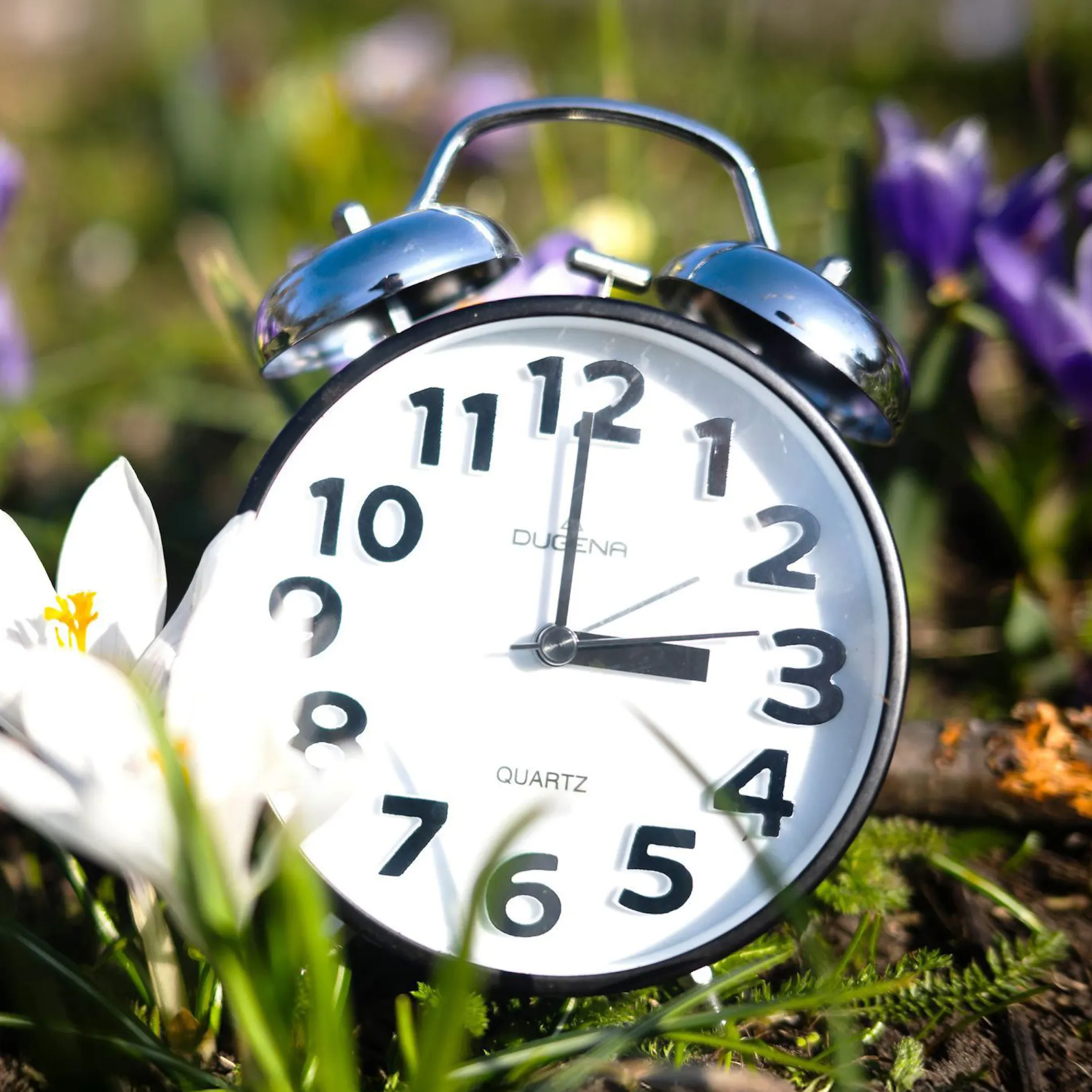 Image - Zeitumstellung schon am Wochenende! Das steckt dahinter