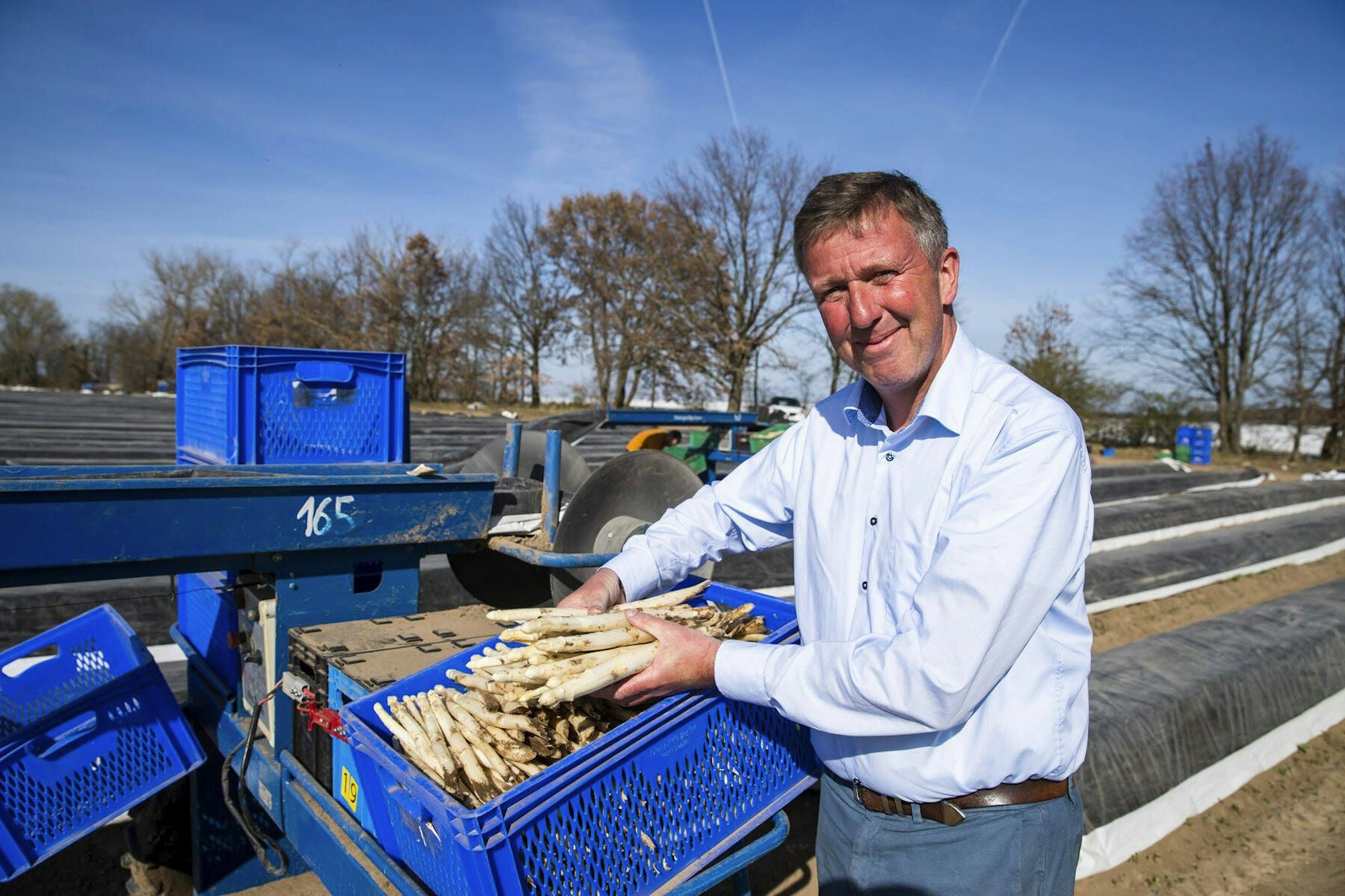 Jürgen Jakobs, Vorsitzender des Beelitzer Spargelvereins, hat einen Ernte- und Verkaufstart für Ende März angekündigt.