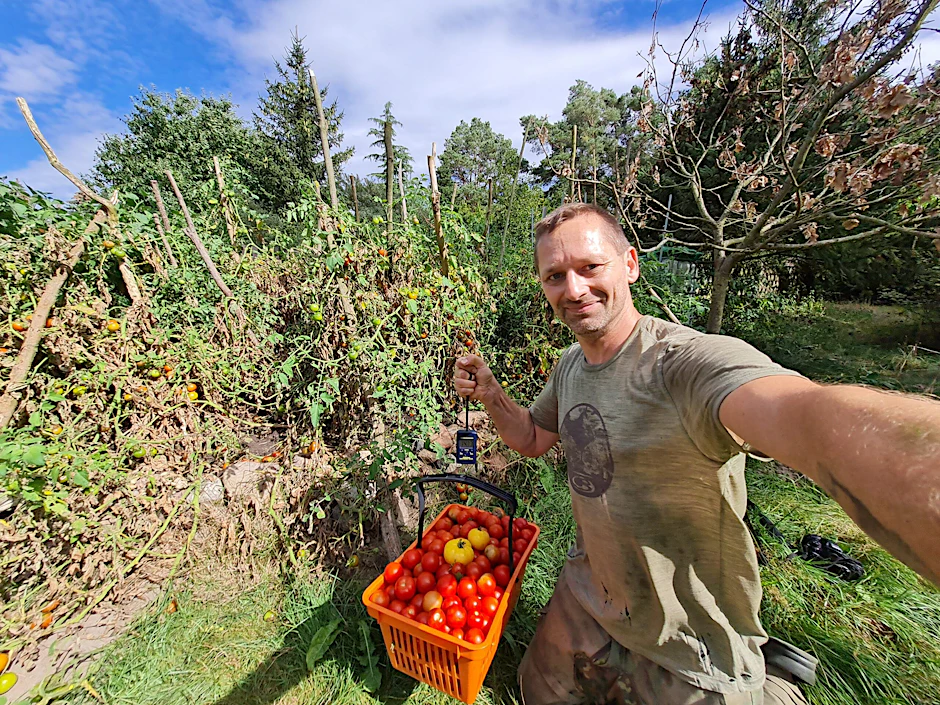 Dominik Brandts Tomatenernte aus dem eigenen Garten war mit 80 Kilogramm sogar noch ergiebiger als im Vorjahr.