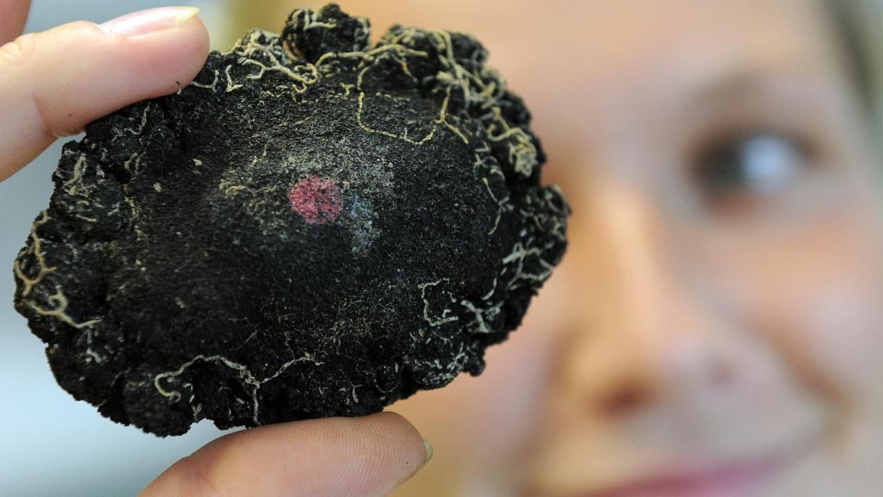 Image - Kostbare Knollen: Bergbau sechs Kilometer unterm Meeresspiegel