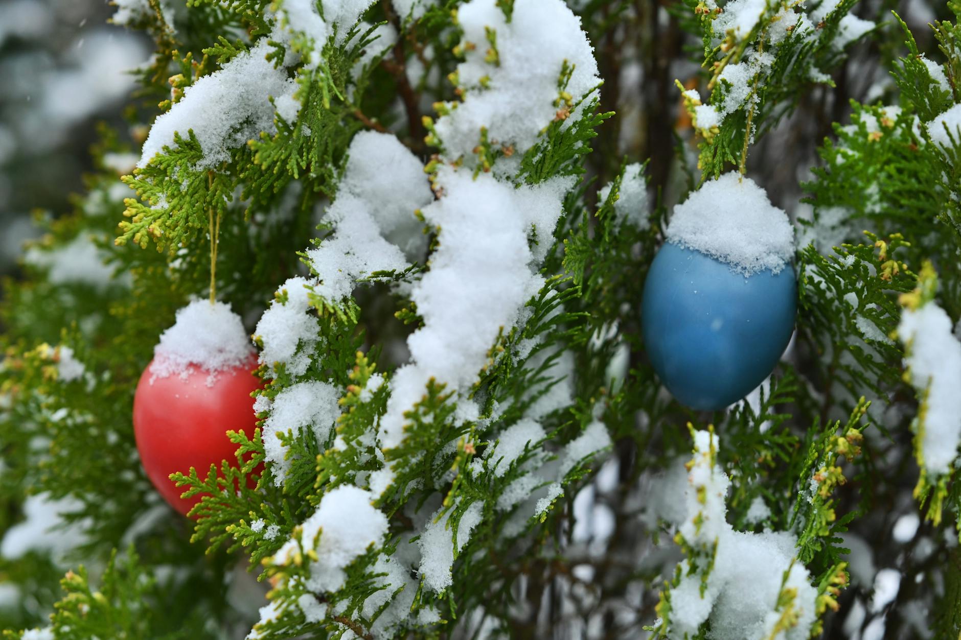 Schnee an Ostern ist keine Seltenheit - immer wieder kam es in den vergangenen Jahren dazu, dass sich die weiße Pracht auch über die Deko im Garten legte. Passiert es dieses Jahr wieder?