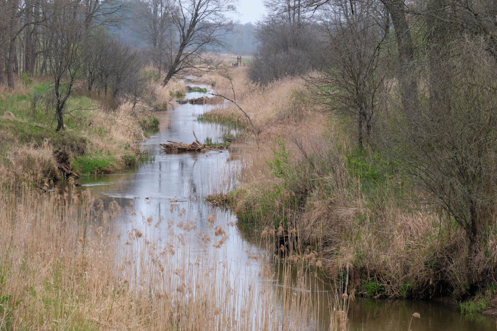 Der Narewka Fluss in Polen nahe der Grenze zu Belarus