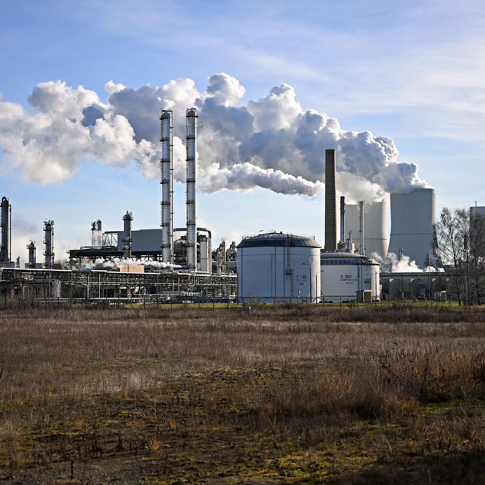 Deutschlands Wirtschaftspolitik: Ostdeutsche Firmen besonders unzufrieden