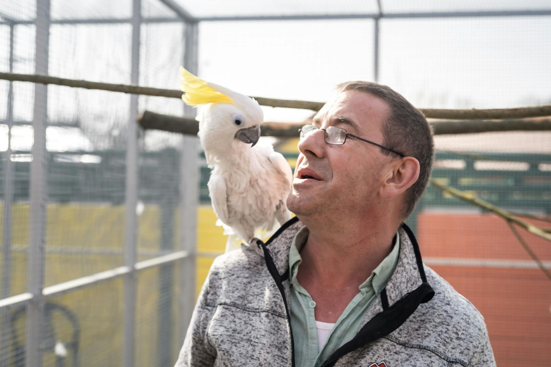 Dirk Bufé und Kakadu Bella. Neben Hunden und Katzen leben auch 300 Vögel im Altenheim für Tiere. Sie werden nich weiter vermittelt.