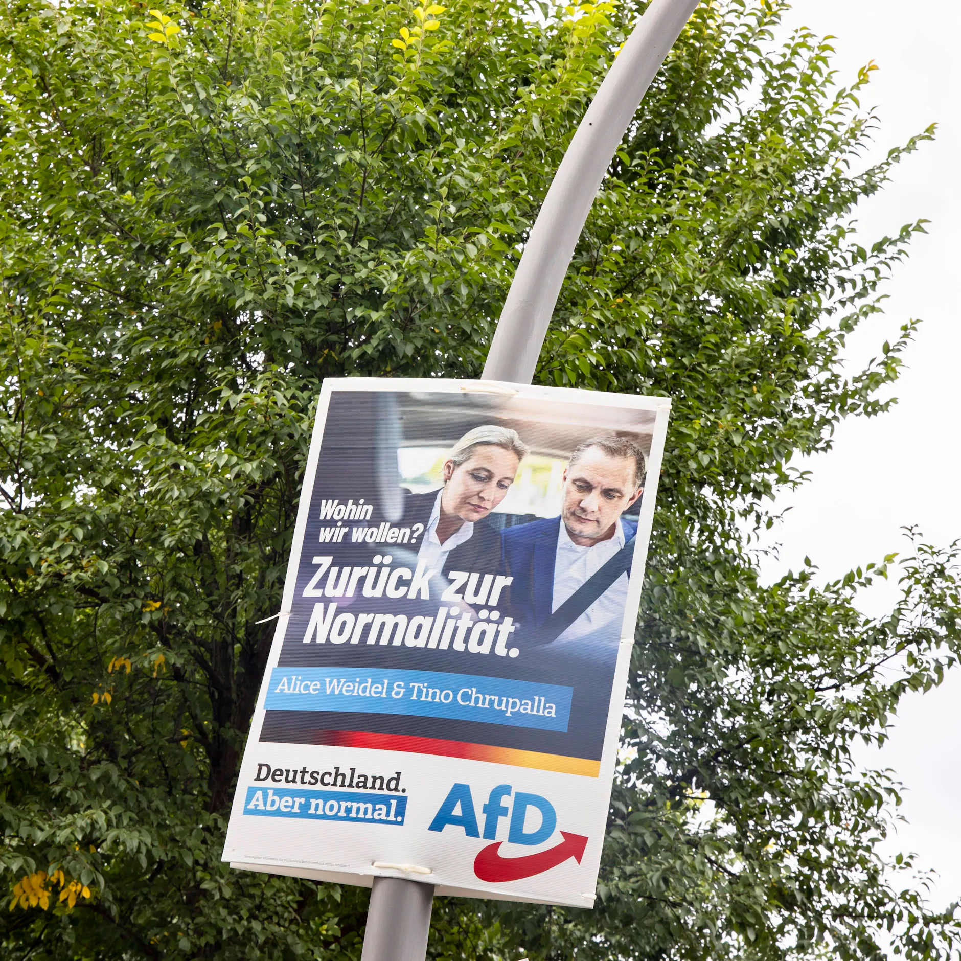 Image - Bundestagswahlkampf: AfD muss Auskunft über Social-Media-Werbung geben