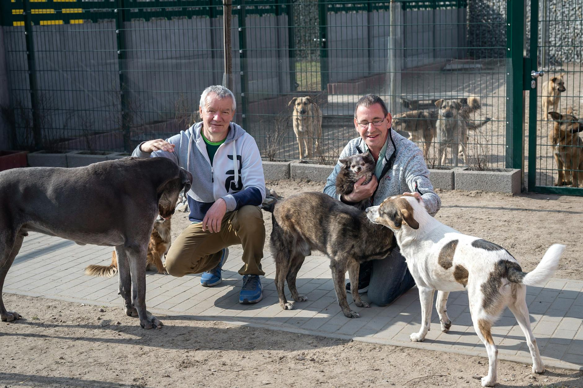 Das Altenheim für Tiere von Dirk Bufé und Hartmut Benter feiert im Mai große Neueröffnung am neuen Standort in Pankow.
