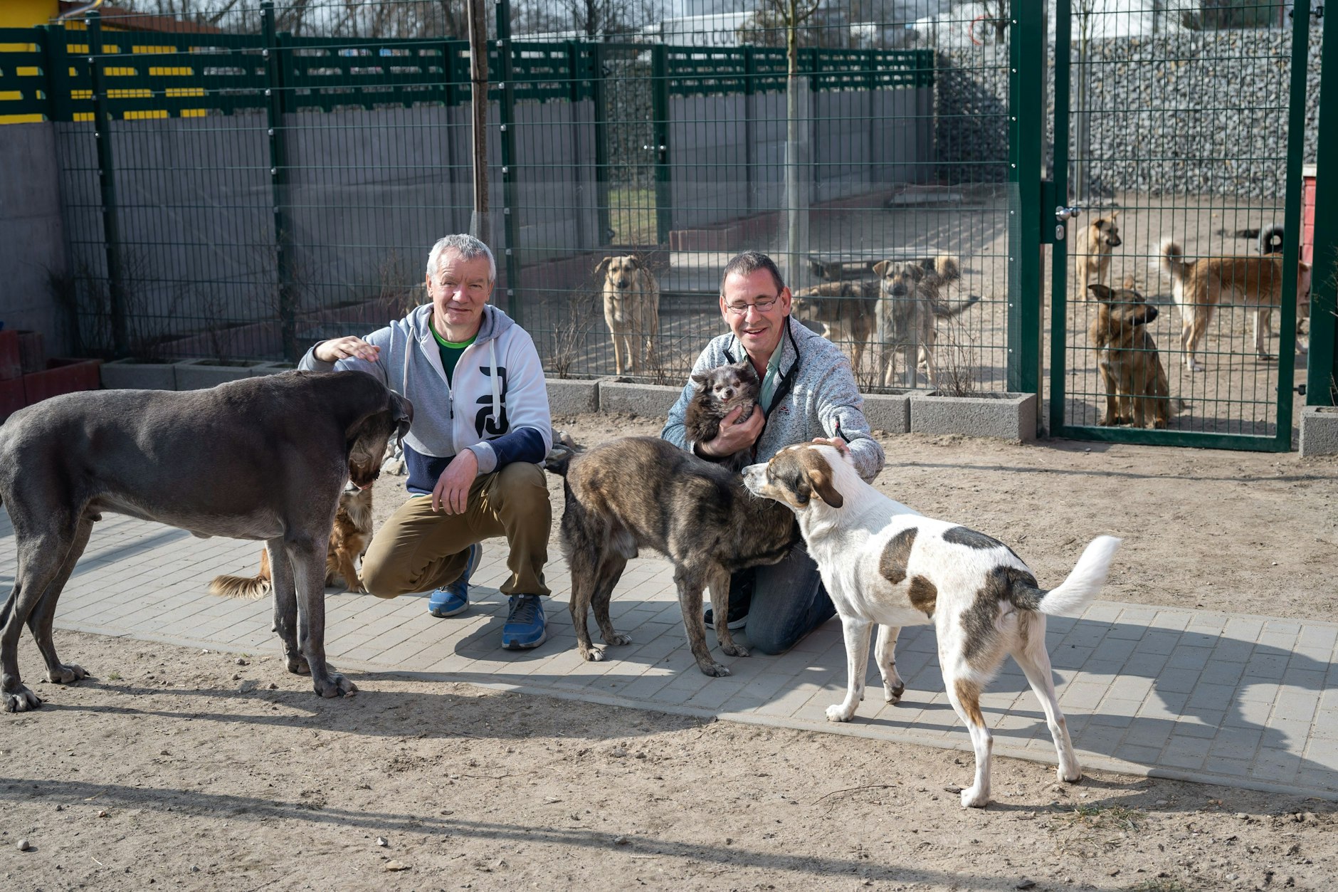 Das Altenheim für Tiere in Pankow feiert die Eröffnung des neuen Standortes