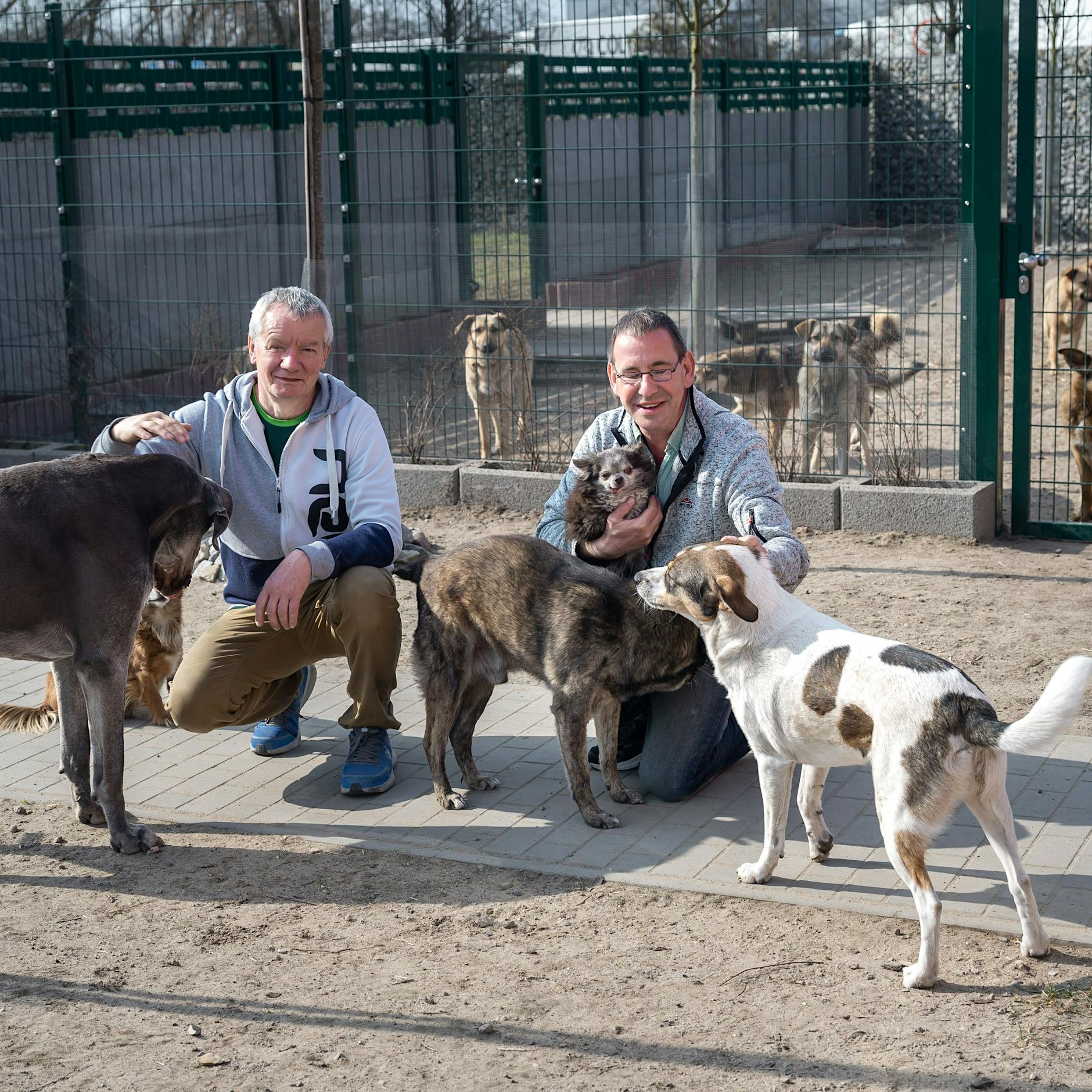 Das Altenheim für Tiere in Pankow feiert die Eröffnung des neuen Standortes