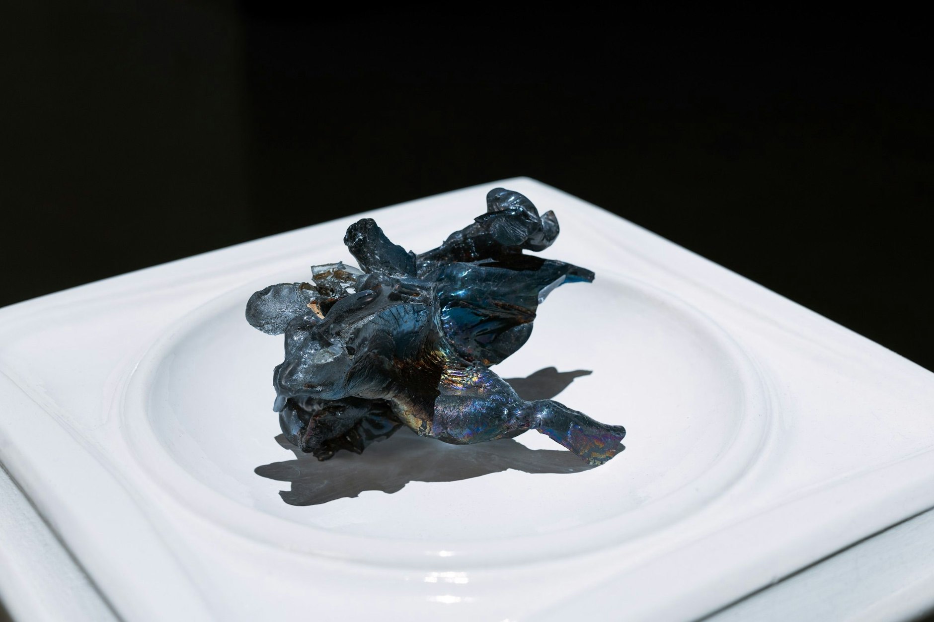 Lesia Vasylchenko: „YesterLight“