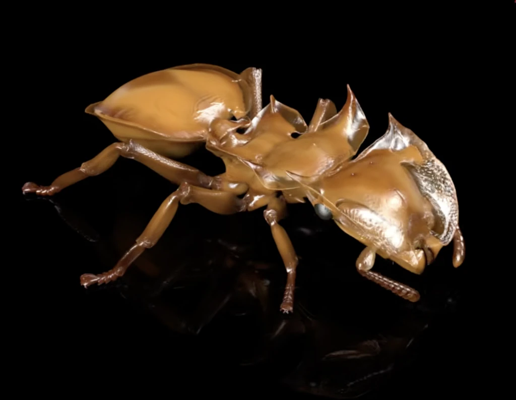 Ameisen in Teilchenbeschleuniger: Forscher erstellen riesige 3D-Bibliothek der Insektenwelt
