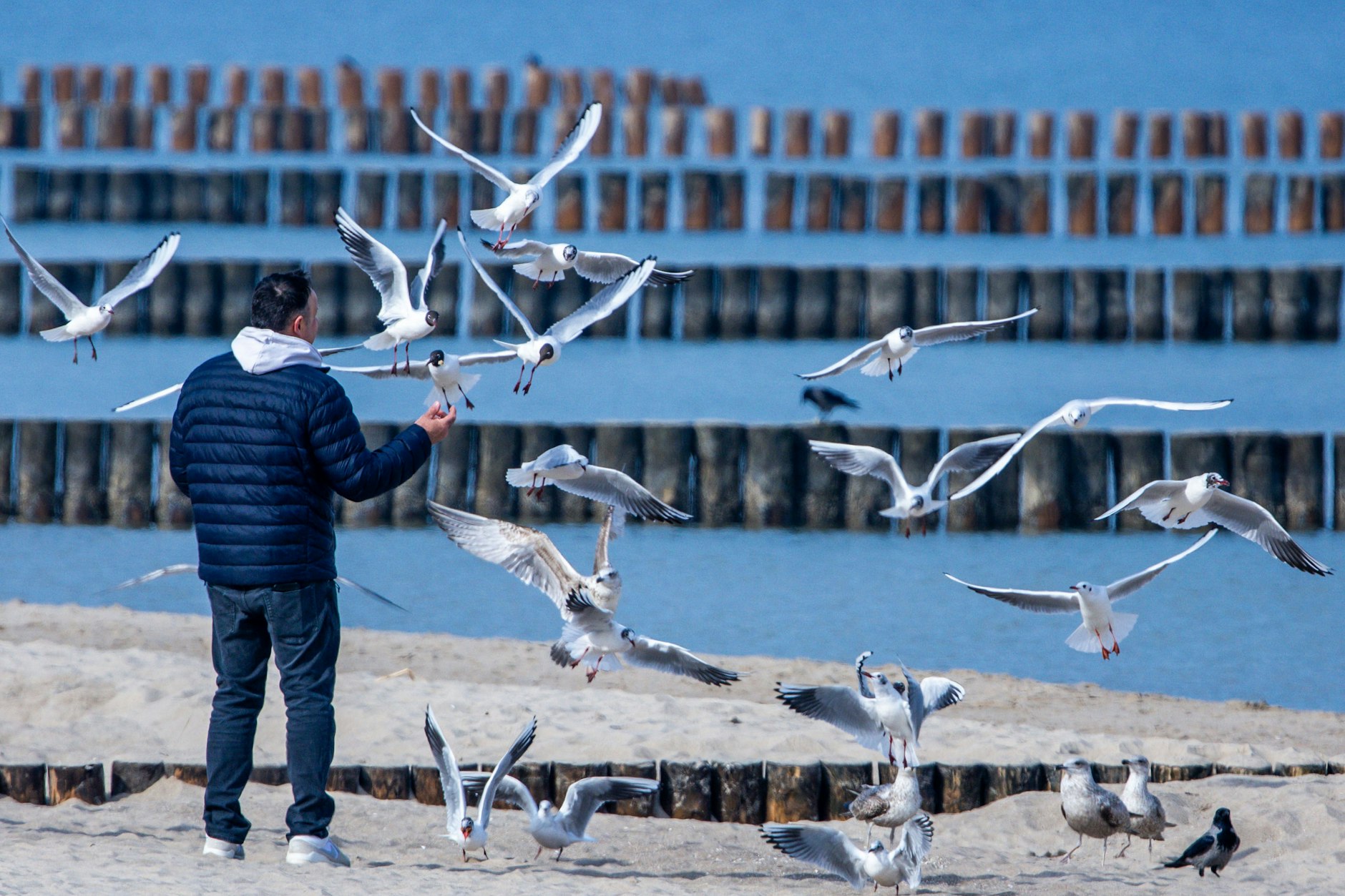 Die Ostsee ist noch immer ein beliegtes Reiseziel. Die neuen Einkaufsregeln wären vor allem für Touristen ein Gewinn gewesen.