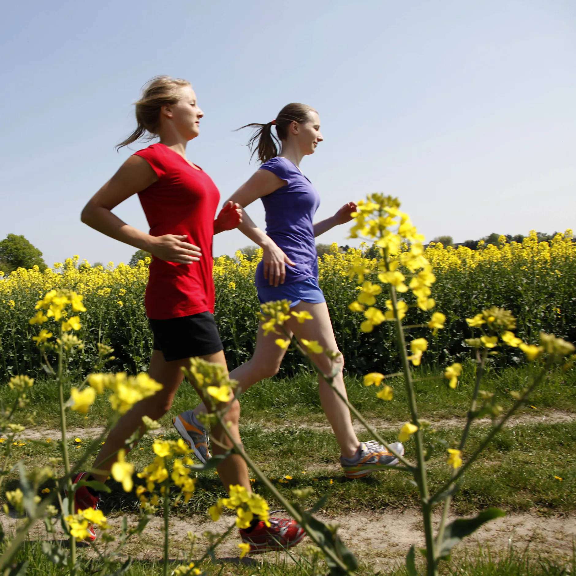 Sport trotz Pollen: Tipps für Allergiker beim Outdoor-Training!