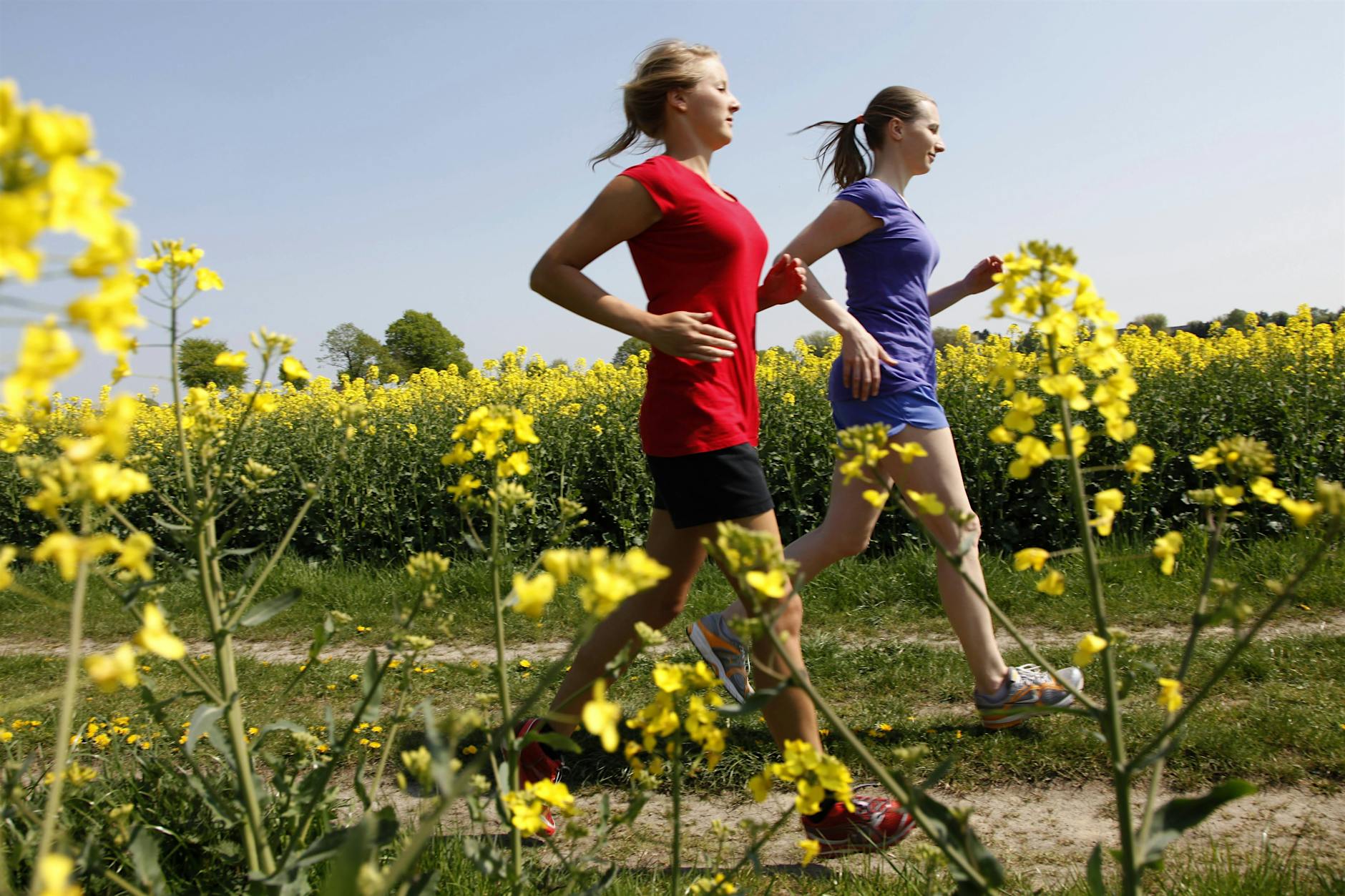 Sport trotz Pollen: Tipps für Allergiker beim Outdoor-Training!