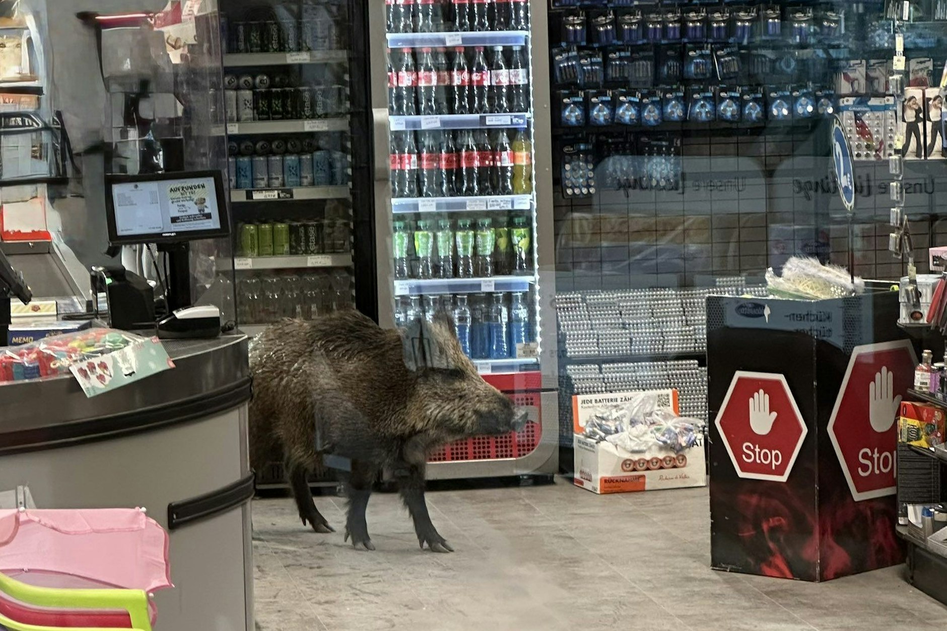 Diese Foto postete die Polizei am Freitag, das Wildschwein verirrte sich in diesen Geschäf.