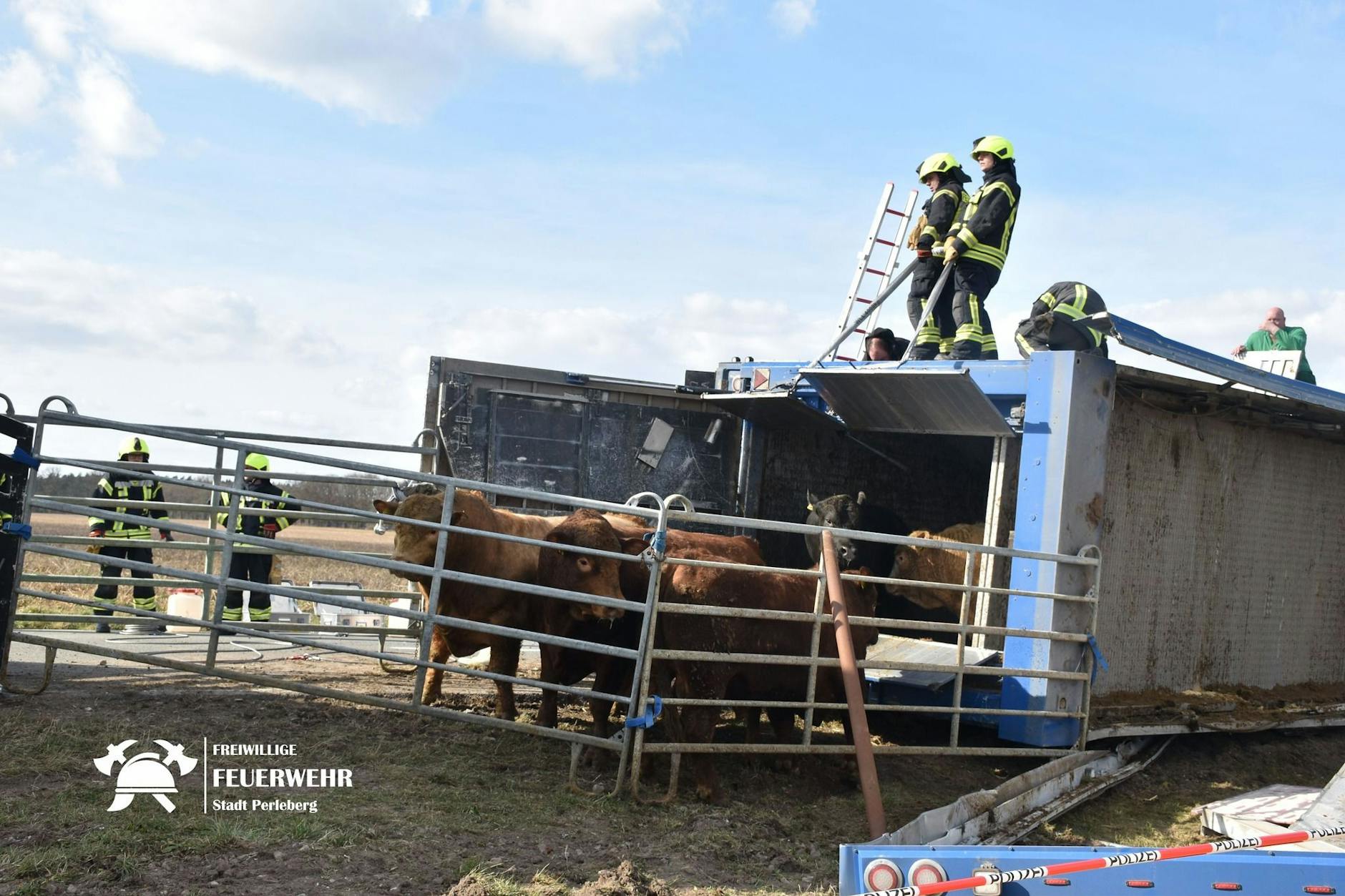 Auf der Landstraße 10 zwischen Reetz und Gulow (Prignitz) ist ein Tiertransporter umgekippt.