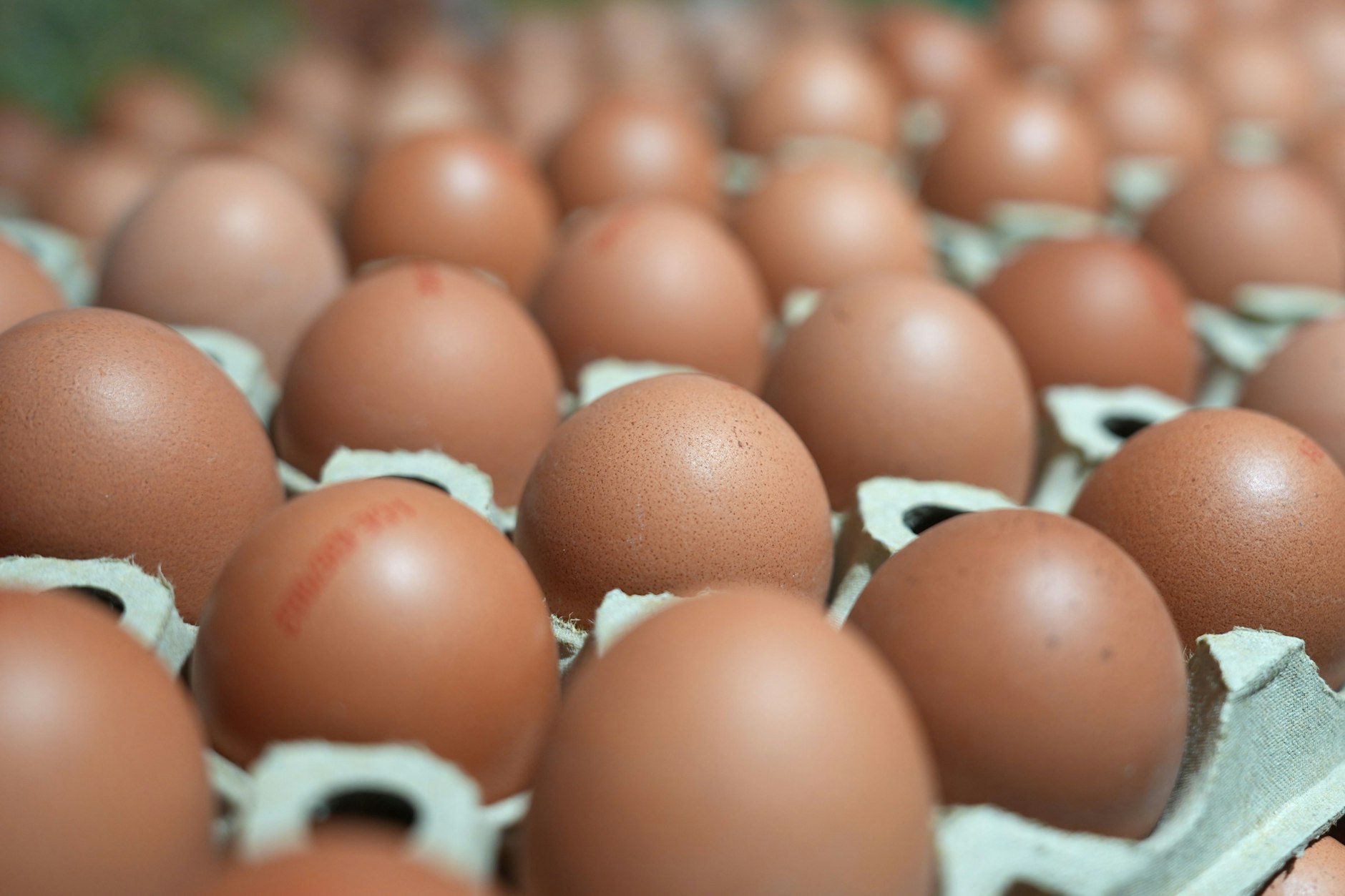 Eier im Supermarkt könnten aufgrund der Ausbreitung der Newcastle-Krankheit zu einem seltenen Bild werden: Nach und nach leeren sich die Regale, hohe Nachfrage trifft auf Knappheit.