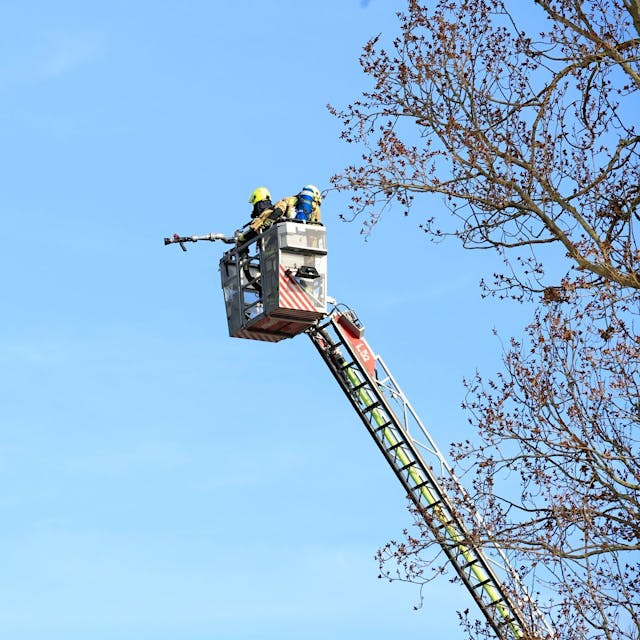 Brandkatastrophe in Tegel: Ein Toter und mehrere Verletzte in Hochhaus!