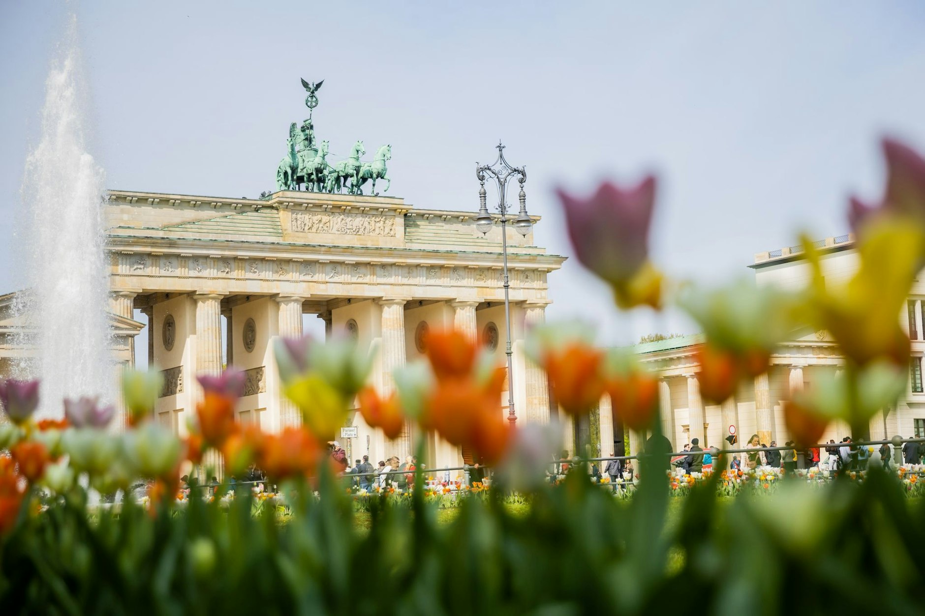 Tulpen sind schöne, bunte Frühlingsboten. Wer sie mag, sollte am Samstag beim Tulip Day am Breitscheidplatz vorbeischauen.