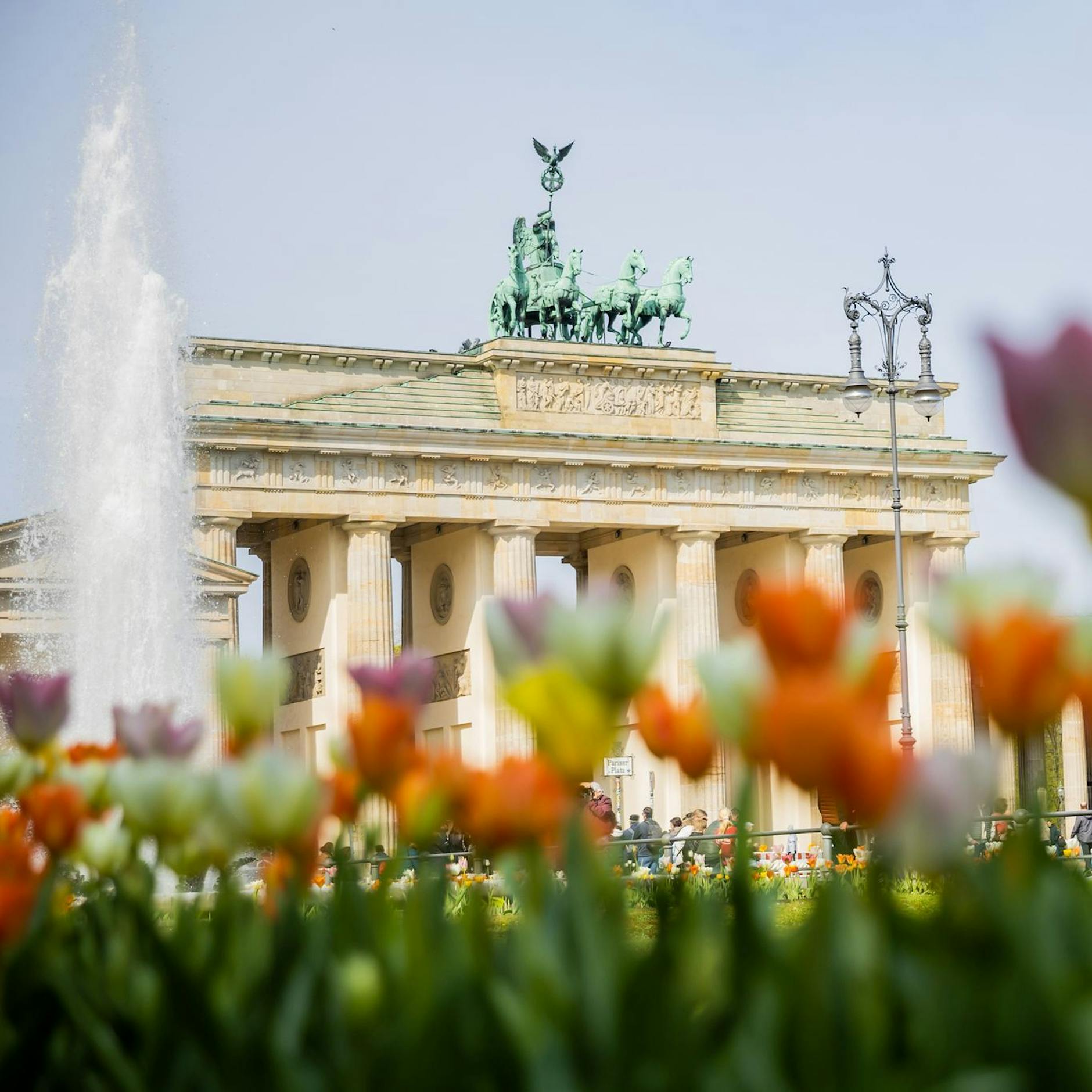 Geschenke für alle Berliner: Hier gibt es heute Blumen gratis