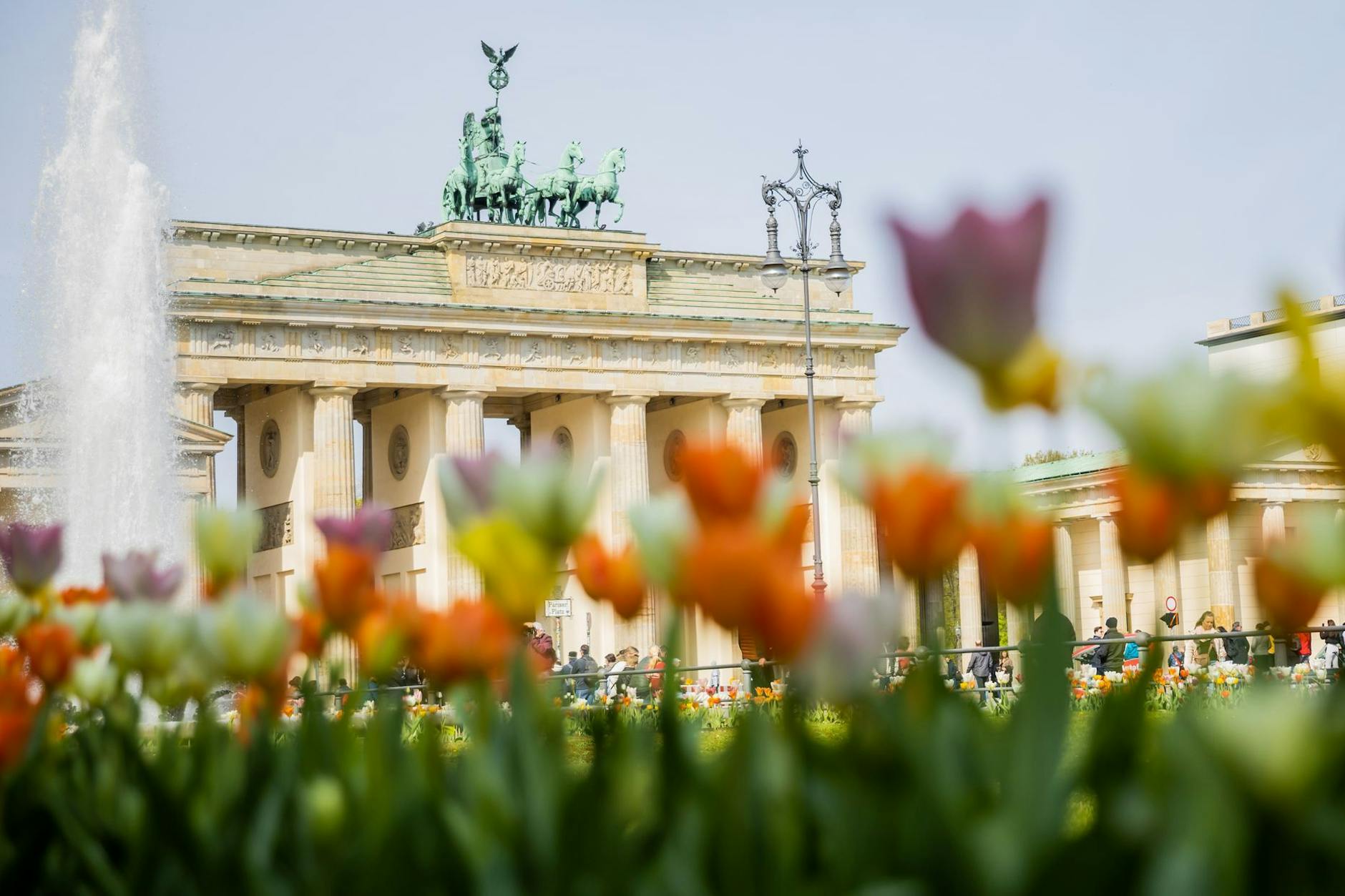 Geschenke für alle Berliner: Hier gibt es heute Blumen gratis