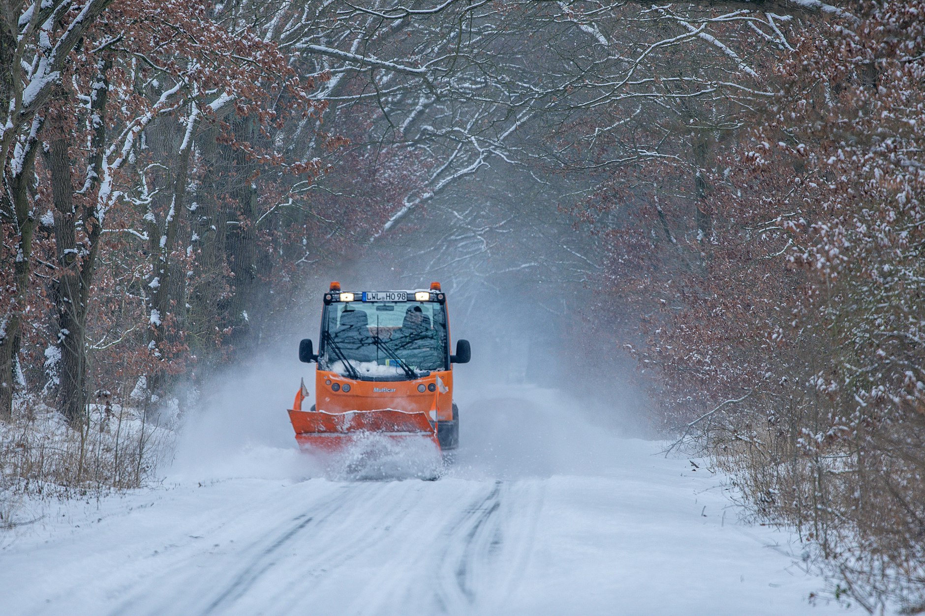 Für einen Wintereinbruch wie im Januar wird es aktuell nicht reichen. Eine kleine, weiße Überraschung blüht einigen Regionen in Deutschland aber dennoch.