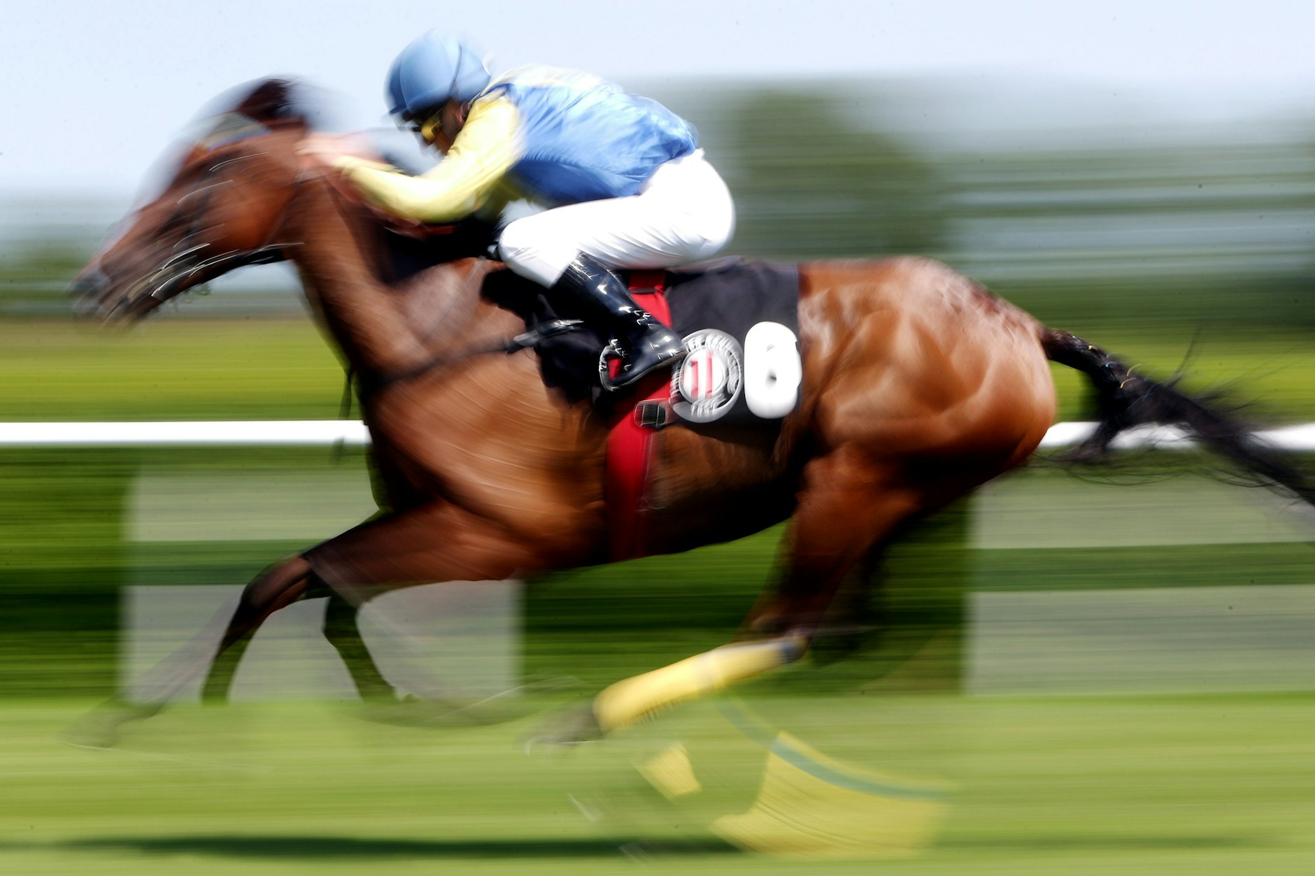 In der Türkei landet ein preisgekröntes Rennpferd nach seiner Schlachtung in der Suppenküche (Symbolbild).