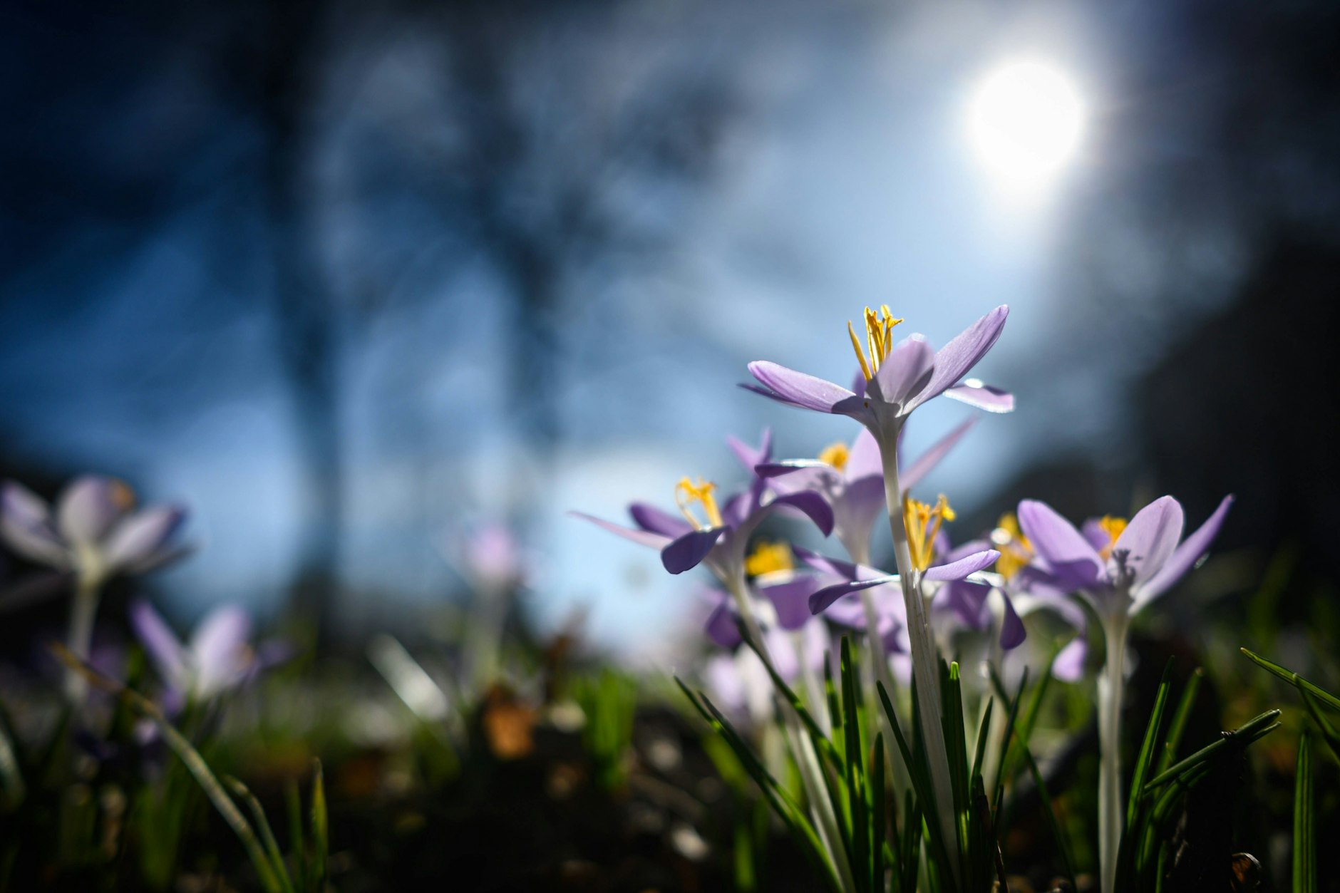 Erst kommt der Frühling, dann wird es plötzlich wieder kalt: Ärzte sehen in so wechselhaftem Wetter vor allem für Risikopatienten eine Gefahr.