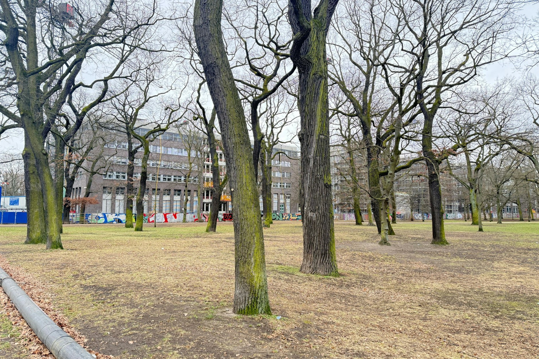 Zwischen Bäumen ist das in Bau befindliche BKA-Gebäude in Treptow erkennbar.
