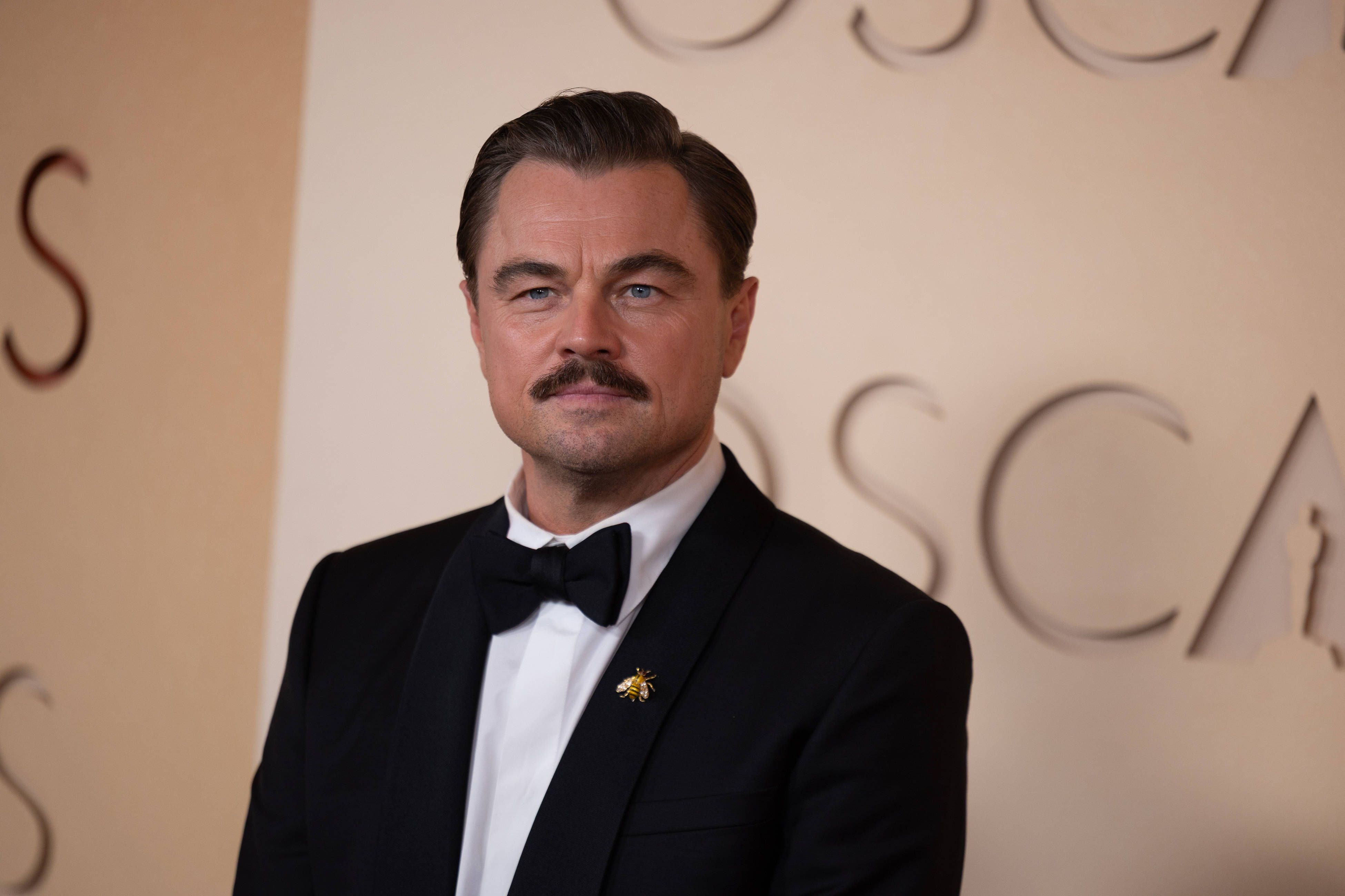 Oscar-Panne: Kameramann zerstört wichtigen Moment von Leonardo DiCaprio