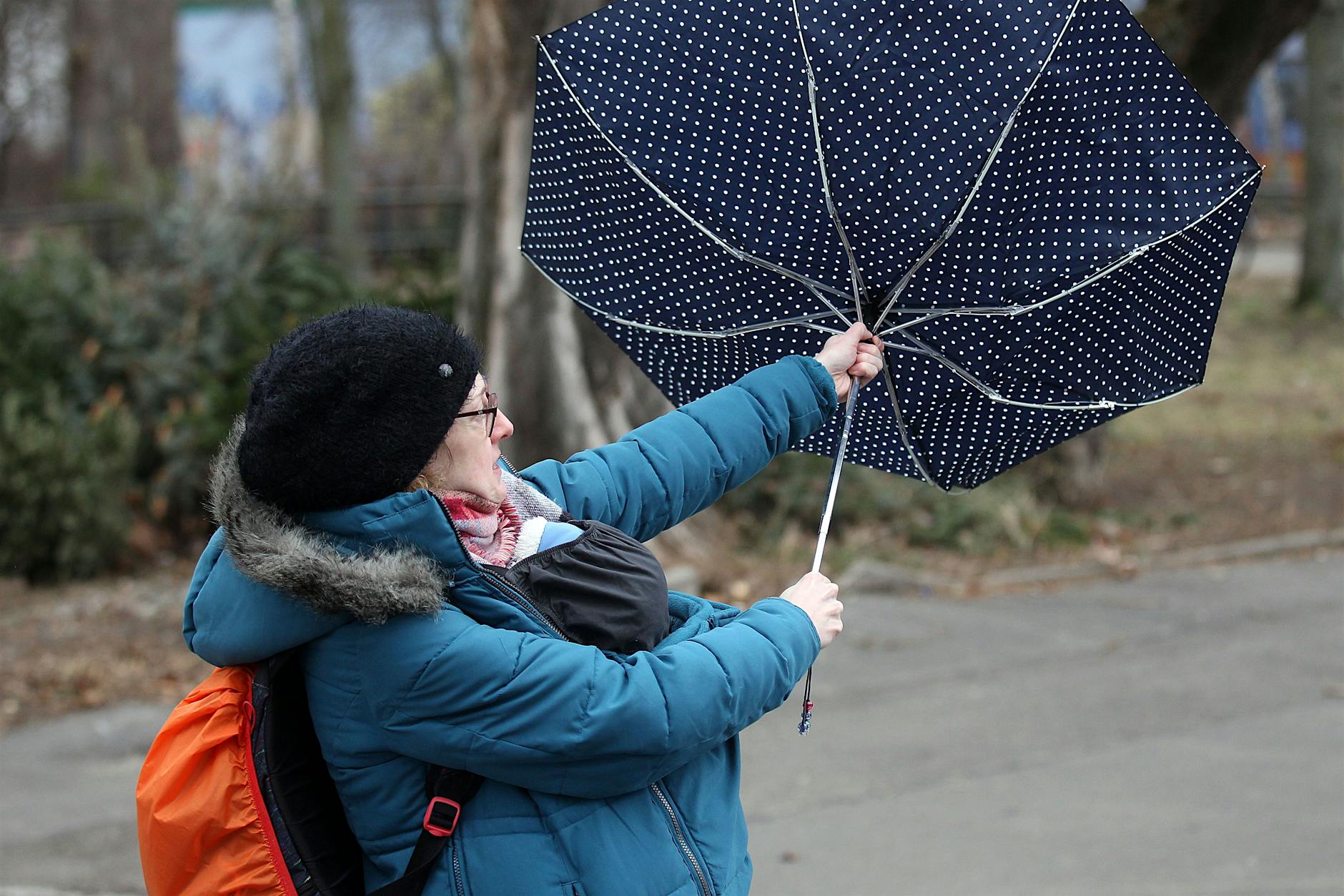 Wetter-Warnung am Montag: Gewitter und Sturm rollen an! Wie es dann weitergeht