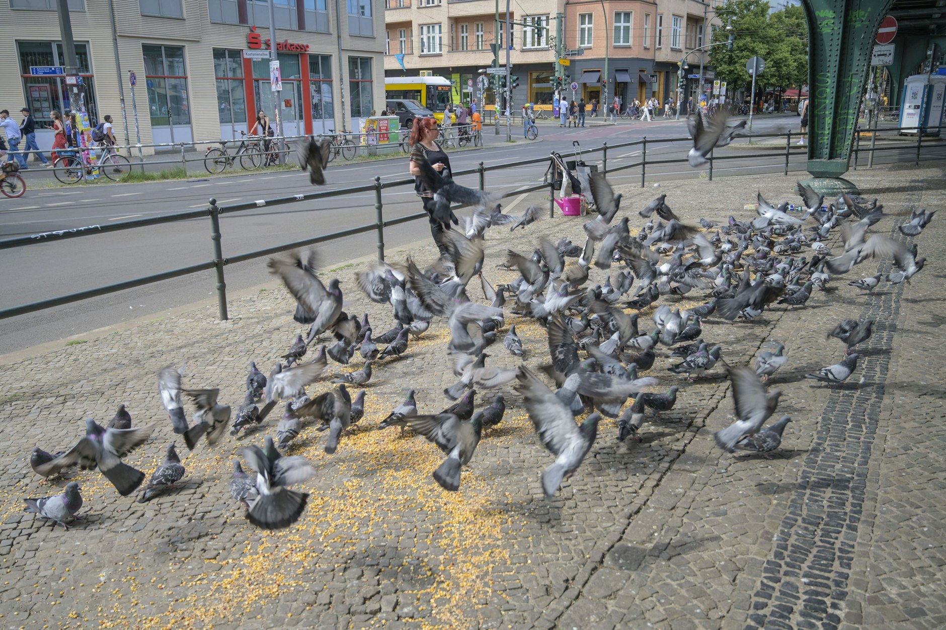 Sie sind überall in Massen in Berlin. Hier lässt sich ein Taubenschwarm an der Schönhauser Allee von Passanten füttern.