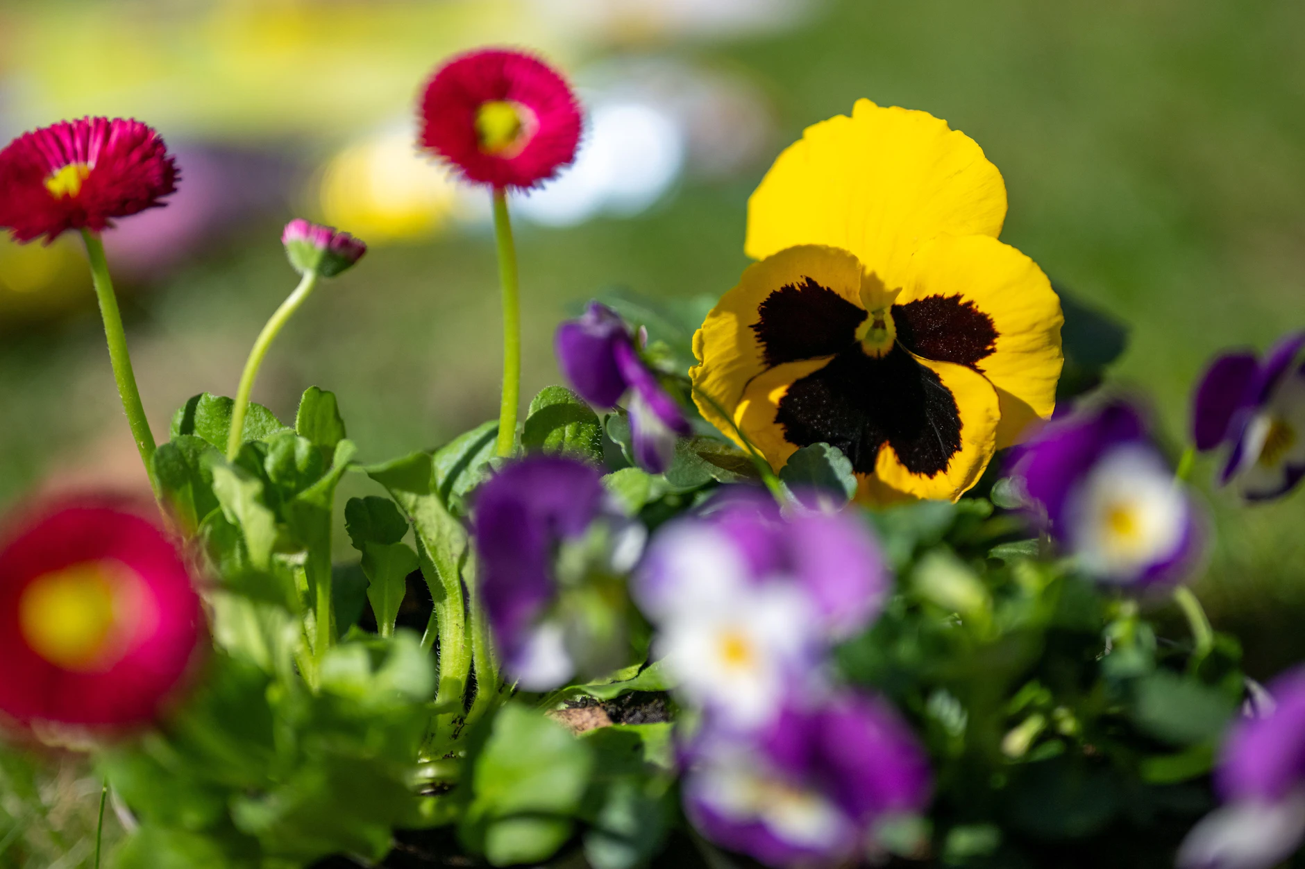 Hochdruckgebiet Lukas bringt Deutschland aktuell den Frühling. Der perfekte Moment, um mit der Gartenarbeit zu beginnen!