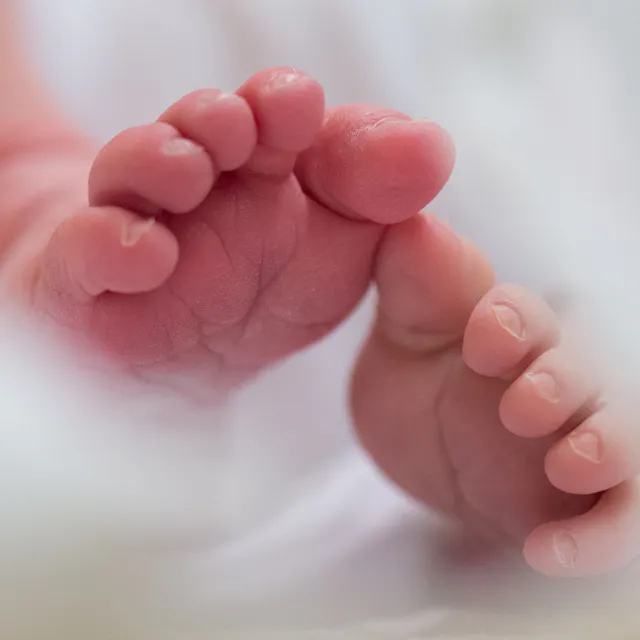 Nachbar klagt gegen Geburtsraum – Frauen schreien zu laut!