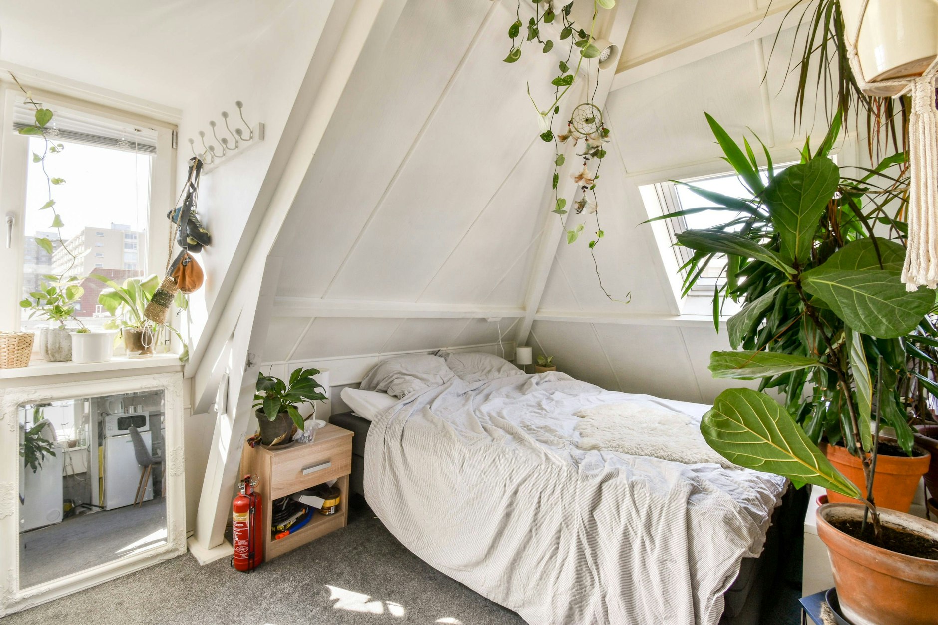 Zimmerpflanzen im Schlafzimmer: Sie verbessern das Raumklima und sorgen für eine entspannte Atmosphäre