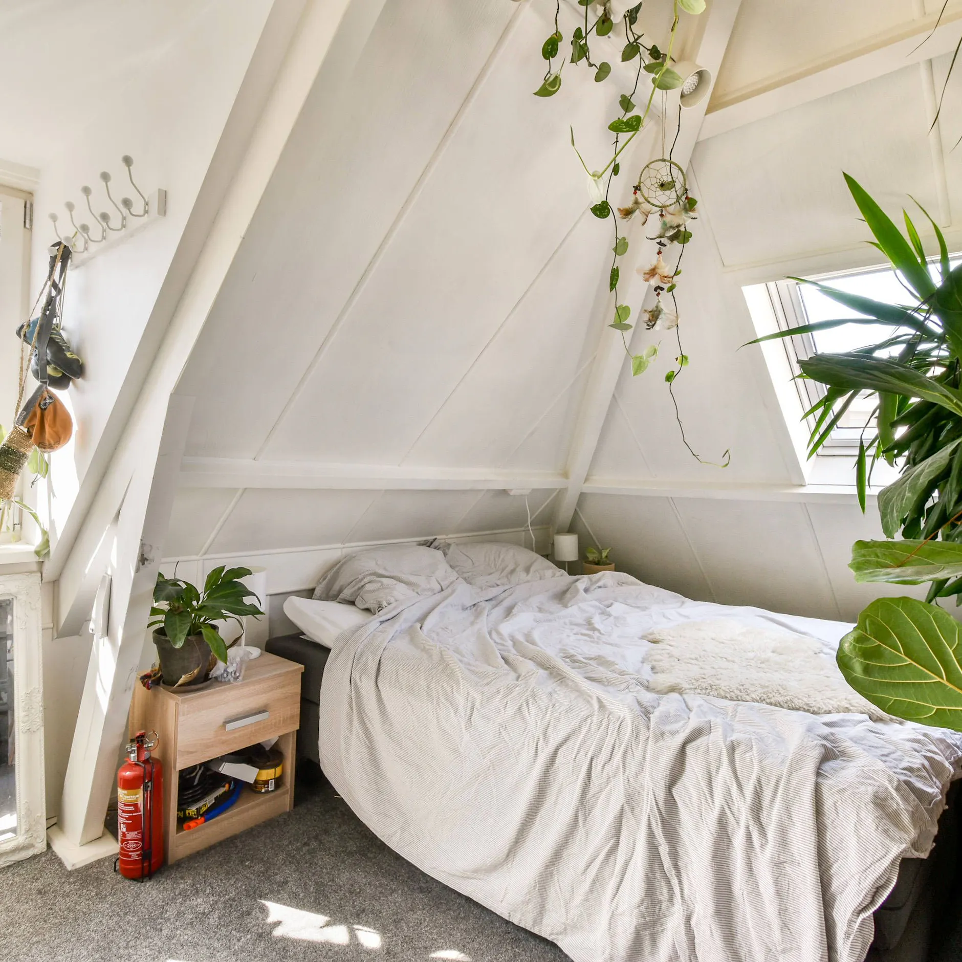 Endlich besser schlafen: Diese Pflanzen helfen dir nachts wirklich