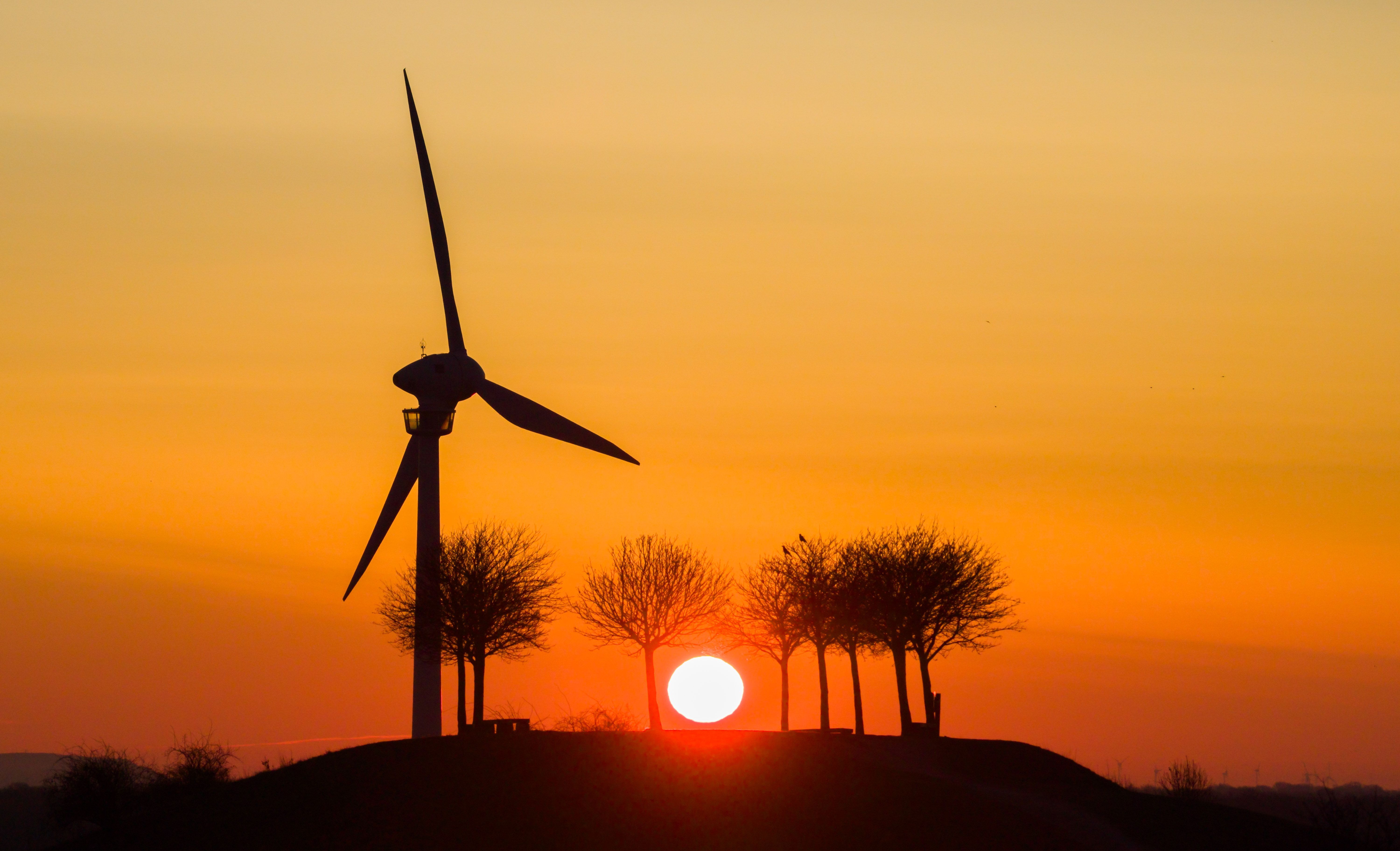 England will Bau kleiner Windräder ohne Baugenehmigung ermöglichen