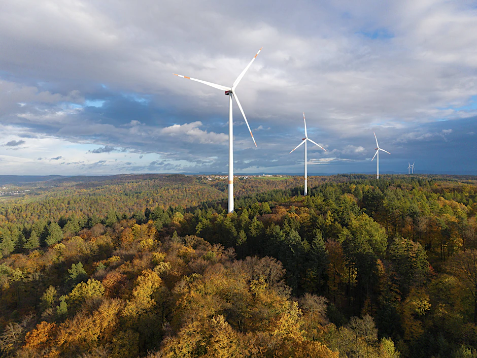 Im Saale-Orla-Kreis sorgt ein Windpark im Wald für Kontroversen. (Symbolbild)