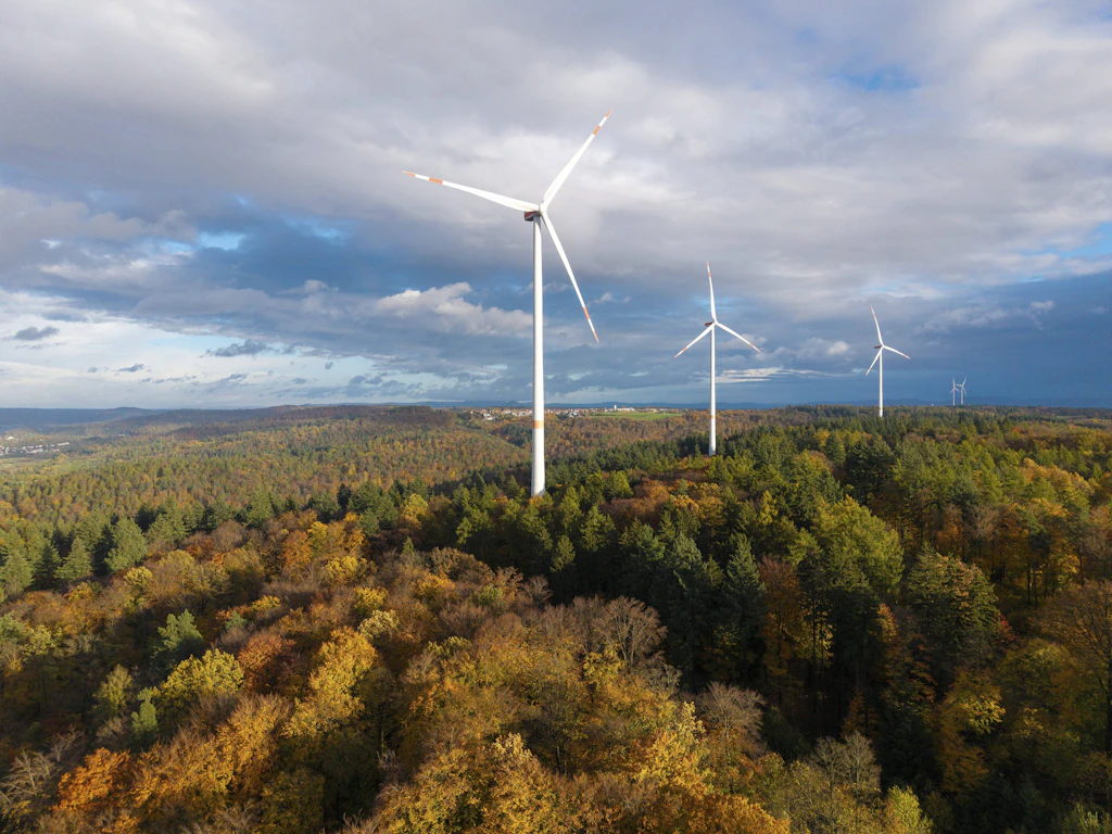 Thüringens erster Windpark im Wald: Kritik an Naturzerstörung wächst