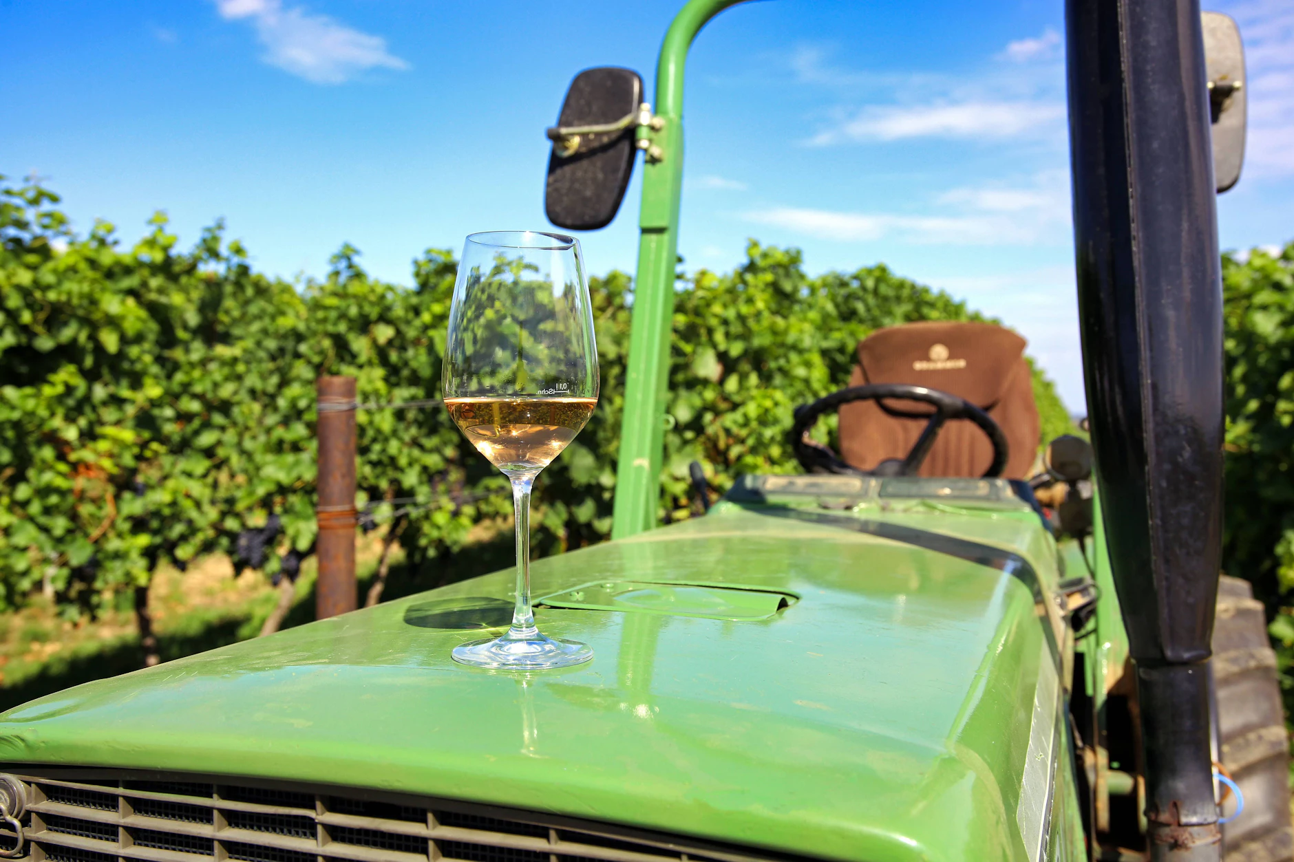 Auch Wein soll laut der WHO ab dem ersten Schluck schädlich sein: Ist das Grund genug, um darauf zu verzichten?