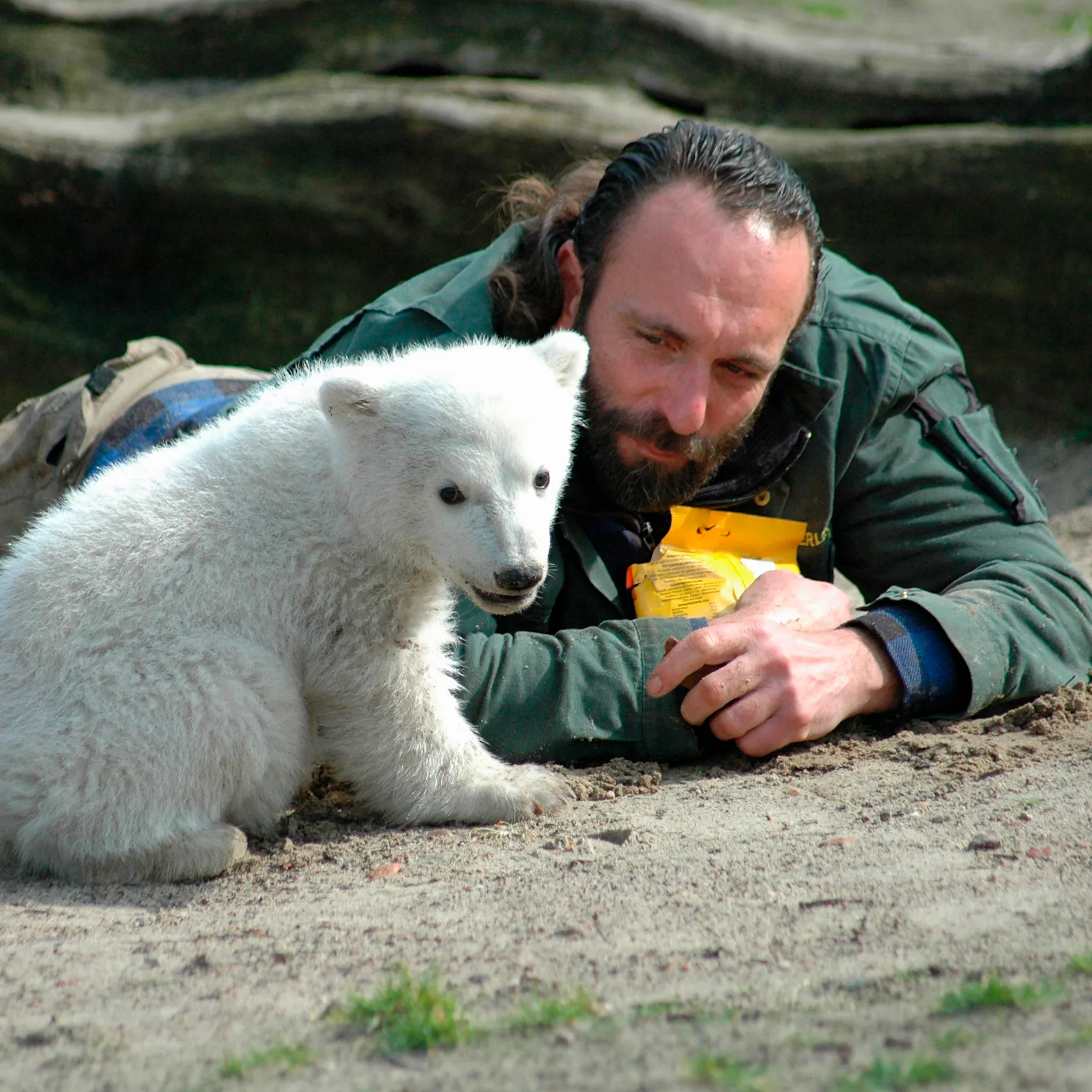 So gedenken Fans Thomas Dörflein und Kult-Eisbären Knut