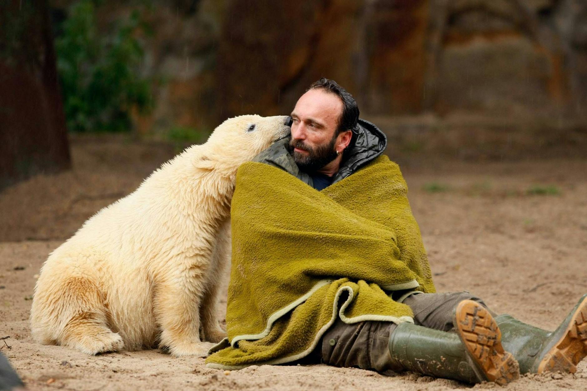 Knut und Thomas Dörflein waren unzertrennlich. Zweimal am Tag spielten sie im Berliner Zoo eine Show.